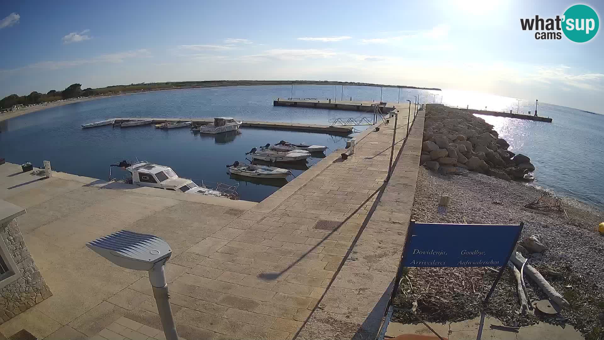 Cámara web de la isla de Unije: explore la belleza de la joya escondida de Croacia