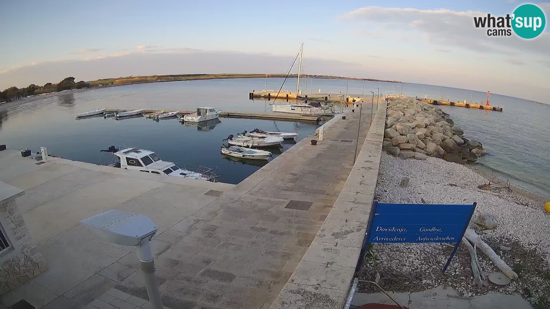 Webcam Isola di Unije – Esplora la bellezza della gemma nascosta della Croazia
