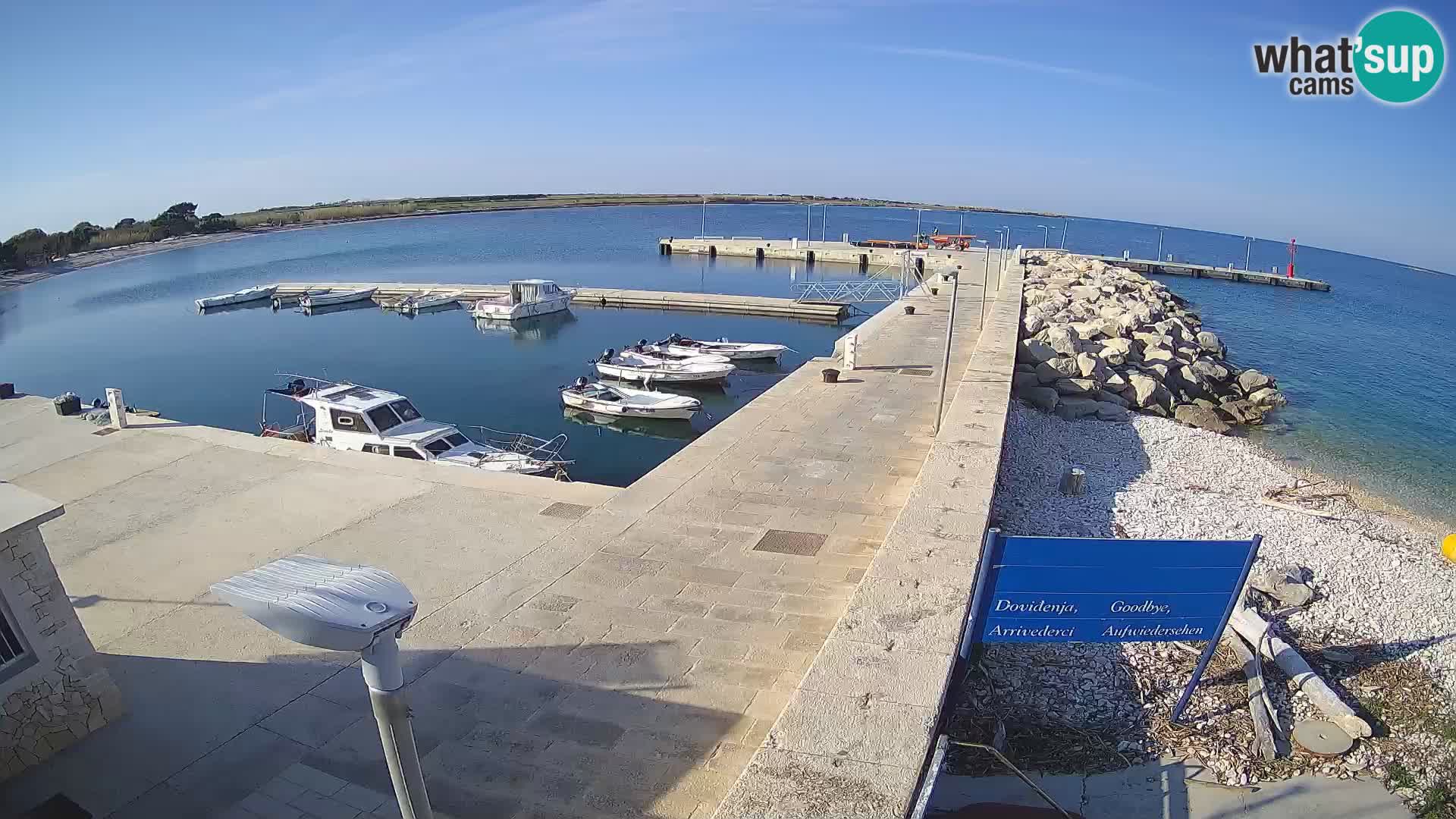 Webcam Isola di Unije – Esplora la bellezza della gemma nascosta della Croazia