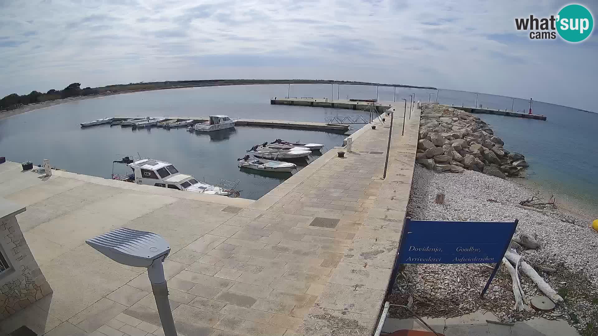 Webcam Isola di Unije – Esplora la bellezza della gemma nascosta della Croazia