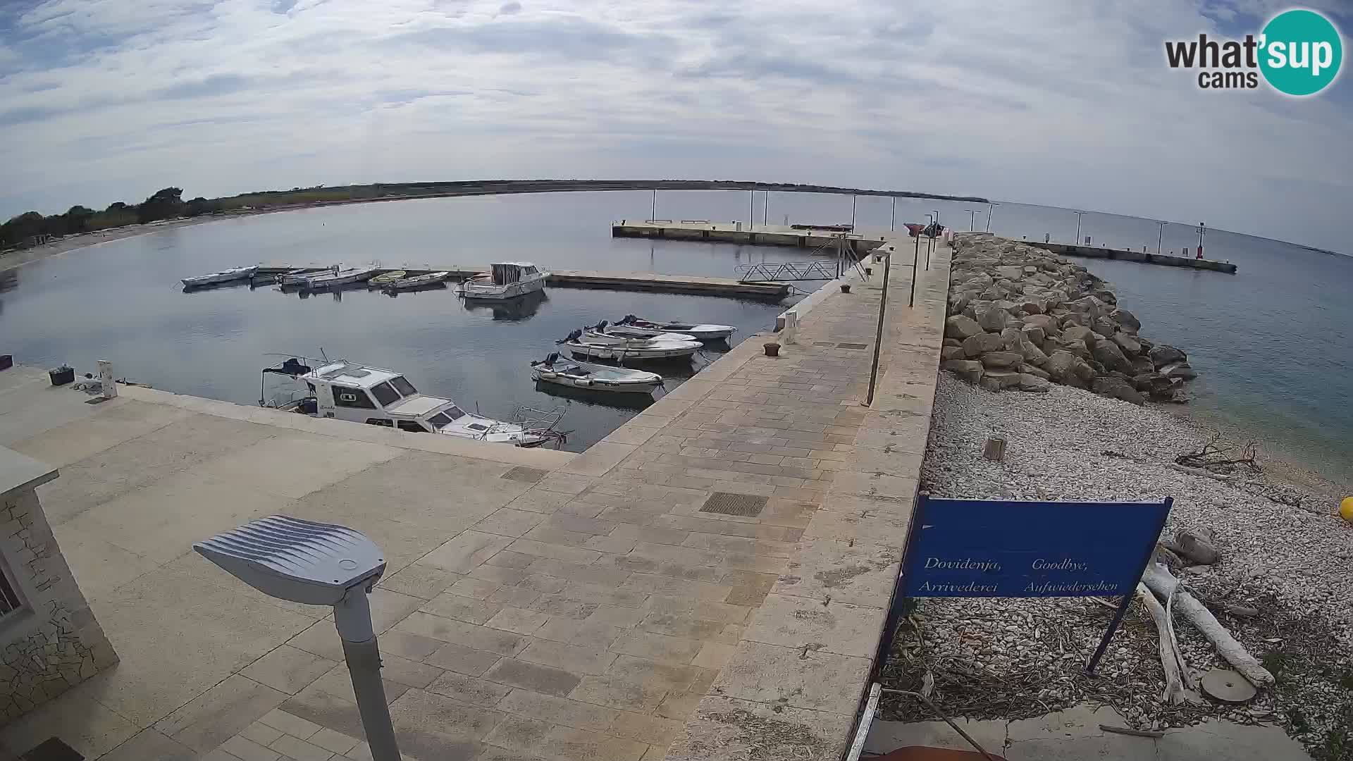 Cámara web de la isla de Unije: explore la belleza de la joya escondida de Croacia