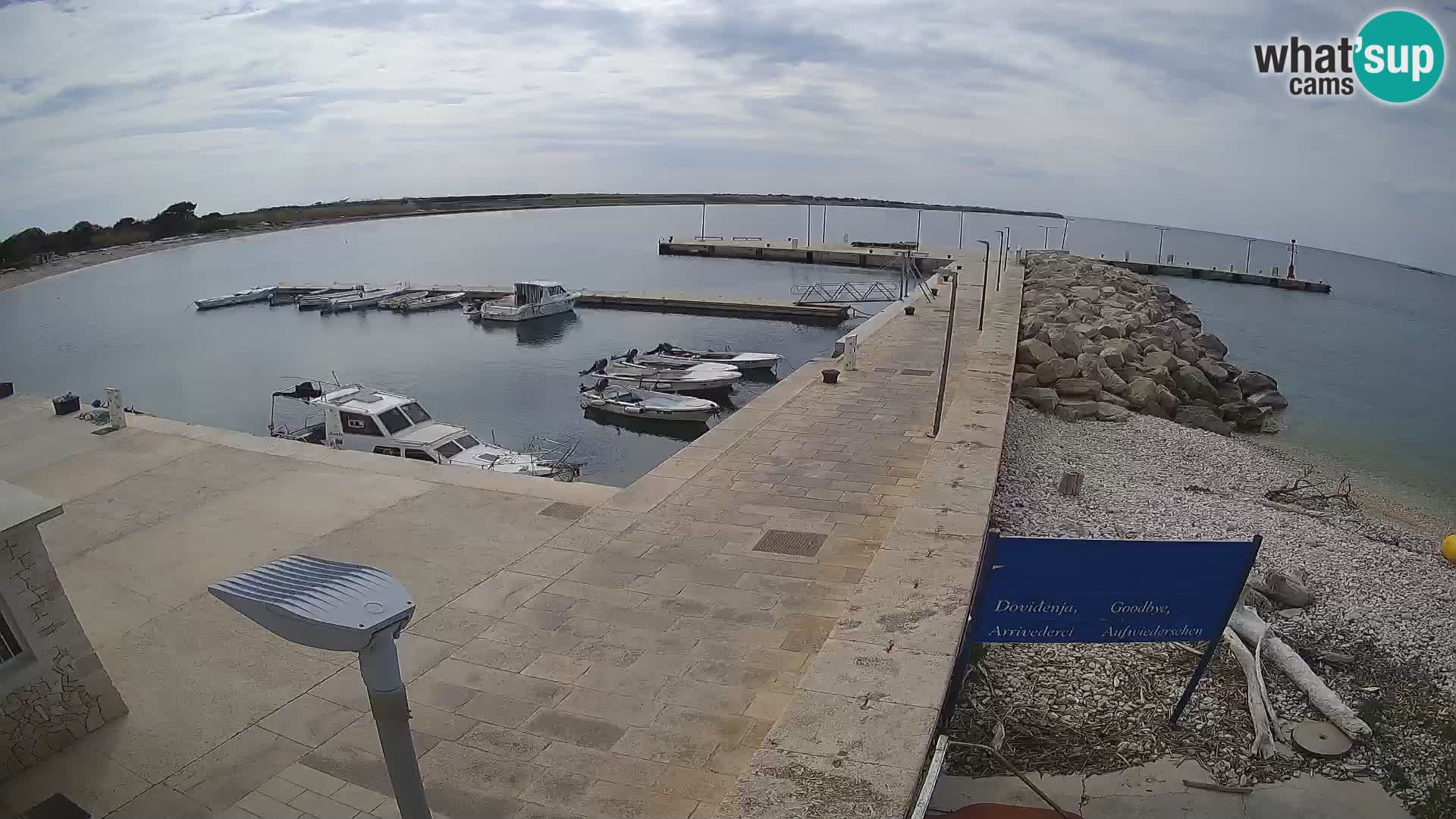 Cámara web de la isla de Unije: explore la belleza de la joya escondida de Croacia