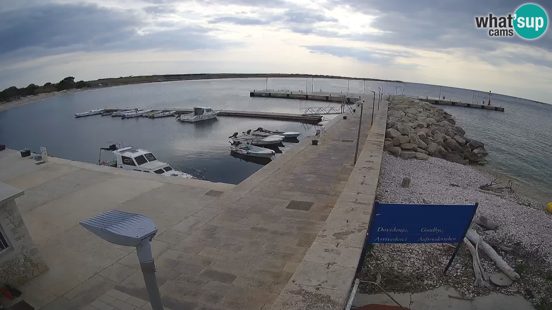 Cámara web de la isla de Unije: explore la belleza de la joya escondida de Croacia