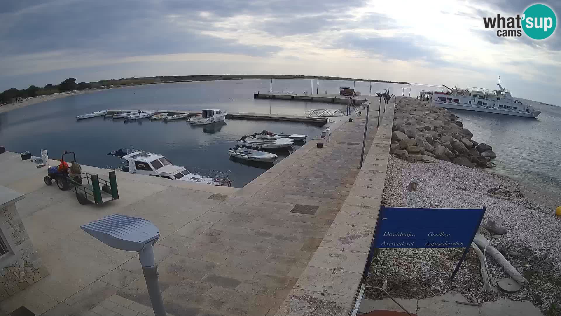 Cámara web de la isla de Unije: explore la belleza de la joya escondida de Croacia