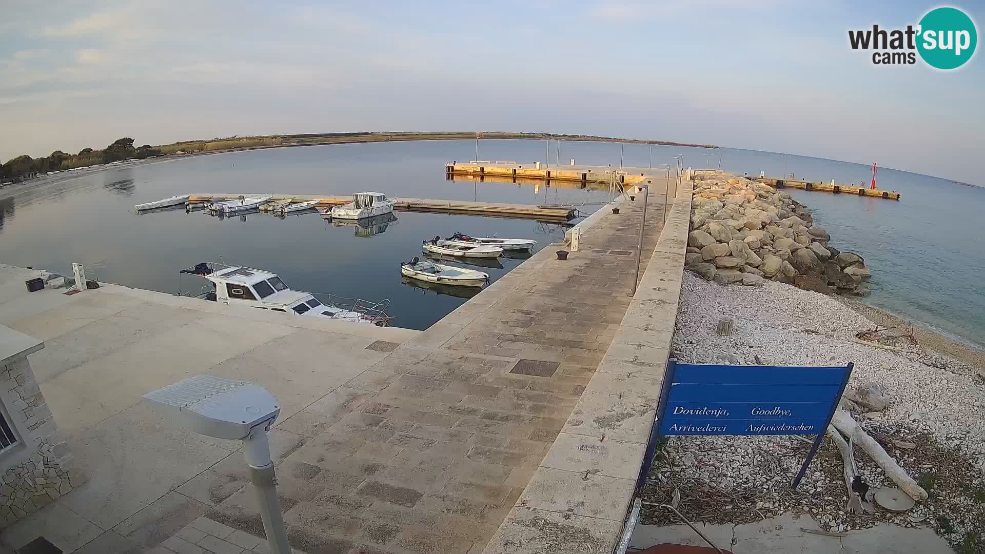 Webcam Isola di Unije – Esplora la bellezza della gemma nascosta della Croazia