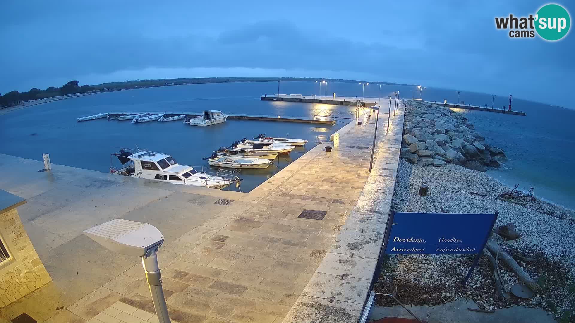 Cámara web de la isla de Unije: explore la belleza de la joya escondida de Croacia