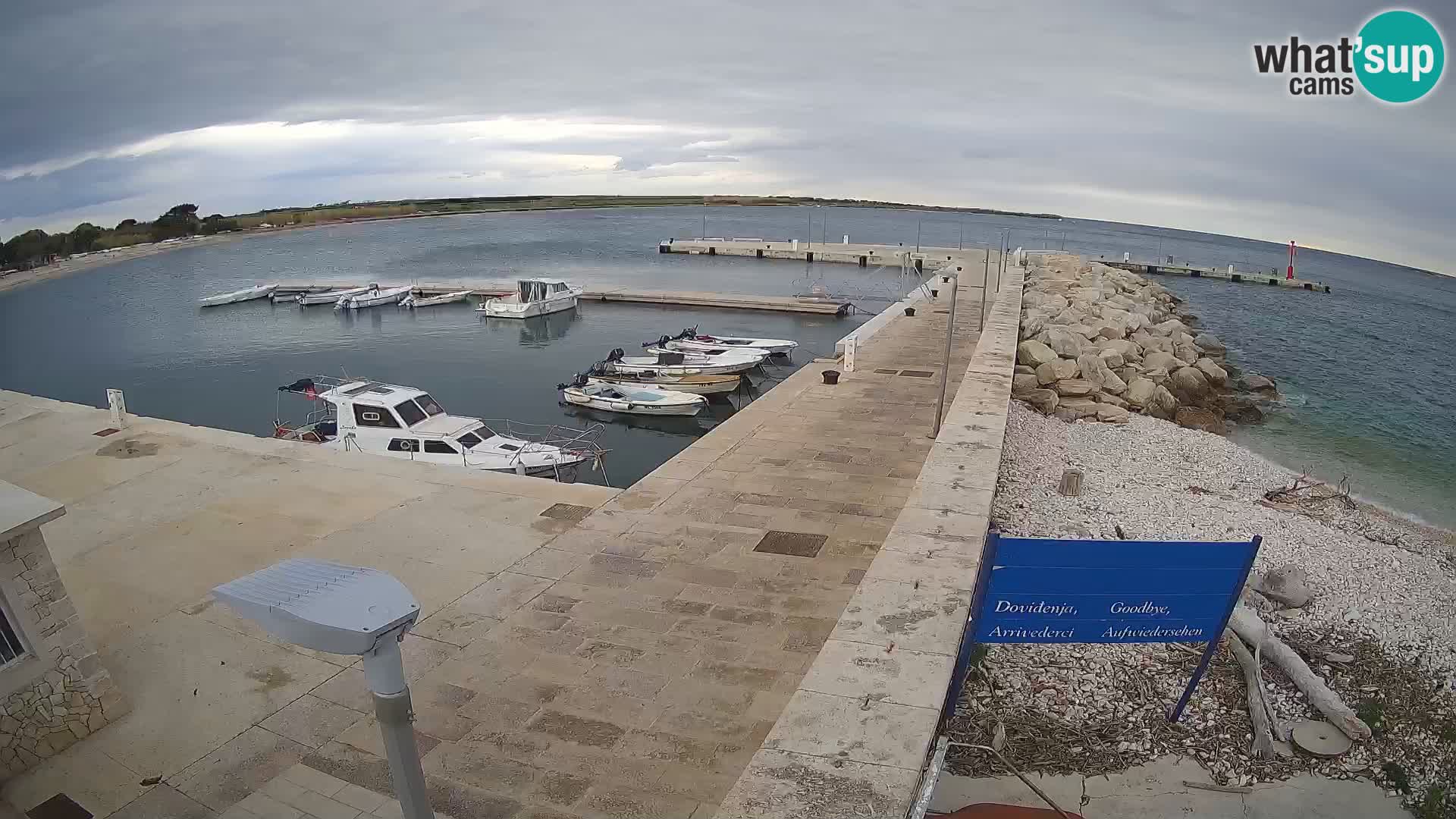 Cámara web de la isla de Unije: explore la belleza de la joya escondida de Croacia