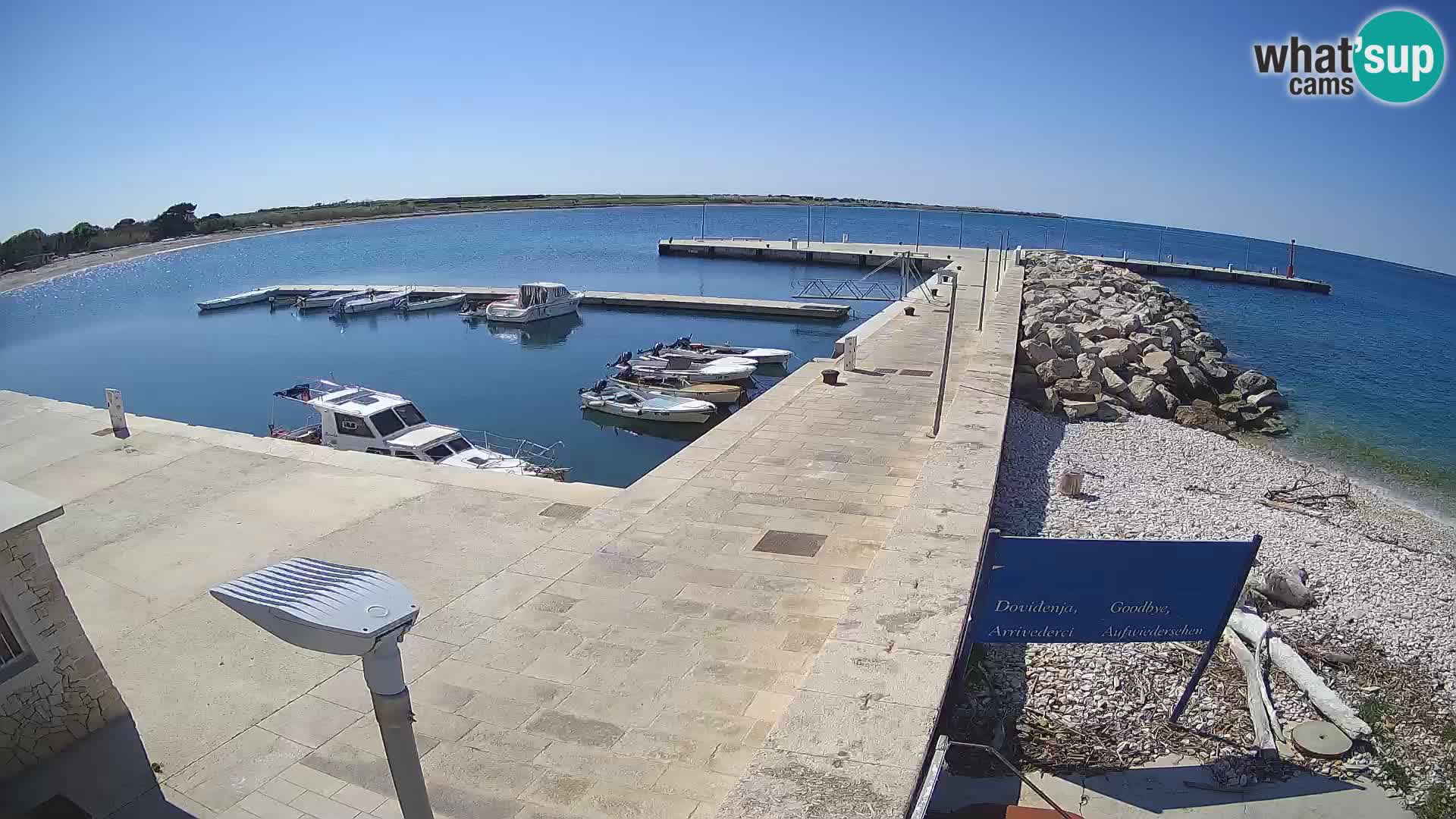 Cámara web de la isla de Unije: explore la belleza de la joya escondida de Croacia