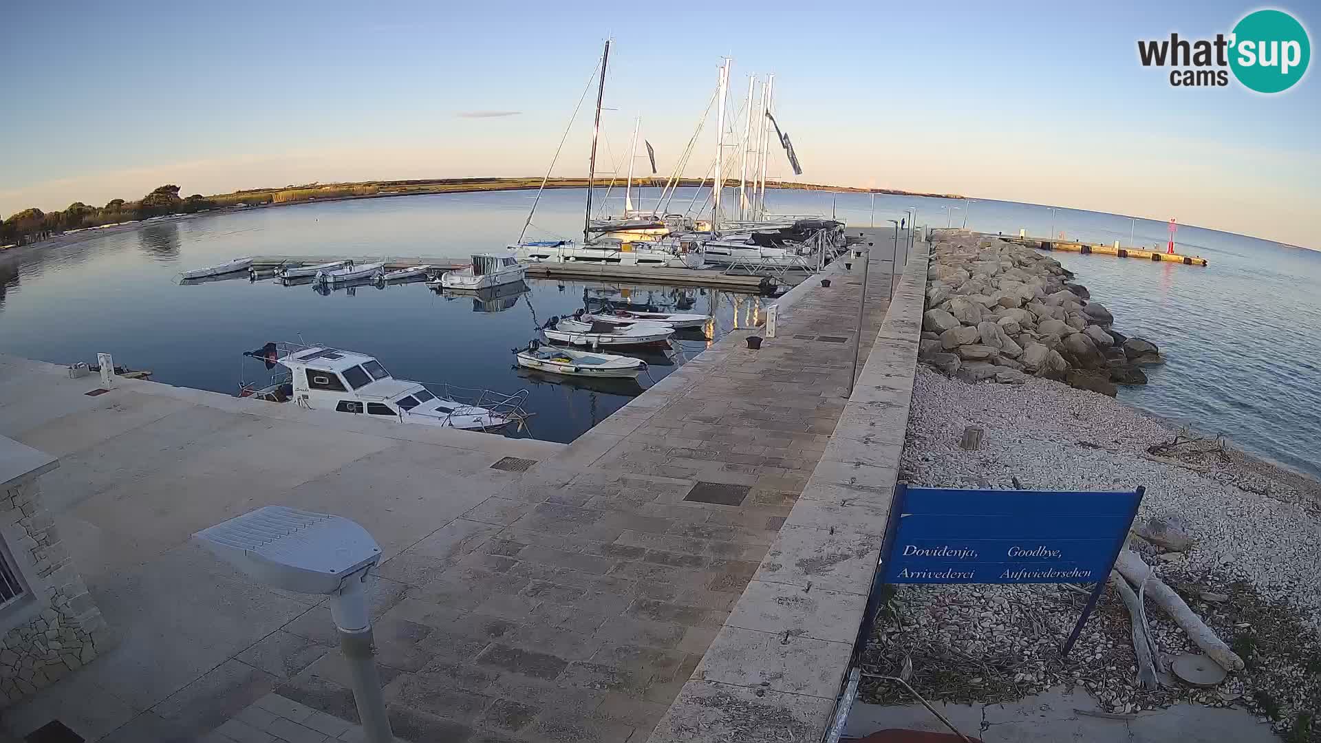 Cámara web de la isla de Unije: explore la belleza de la joya escondida de Croacia