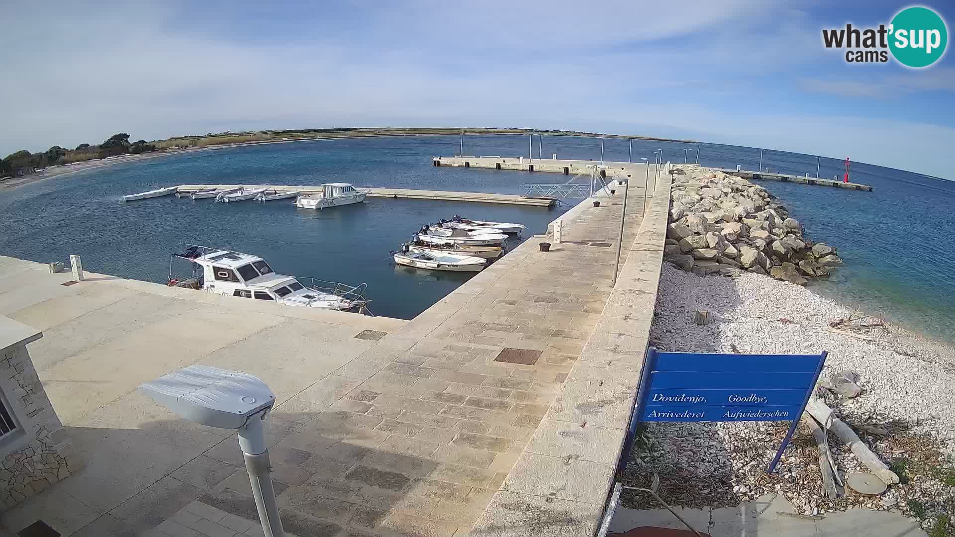 Cámara web de la isla de Unije: explore la belleza de la joya escondida de Croacia