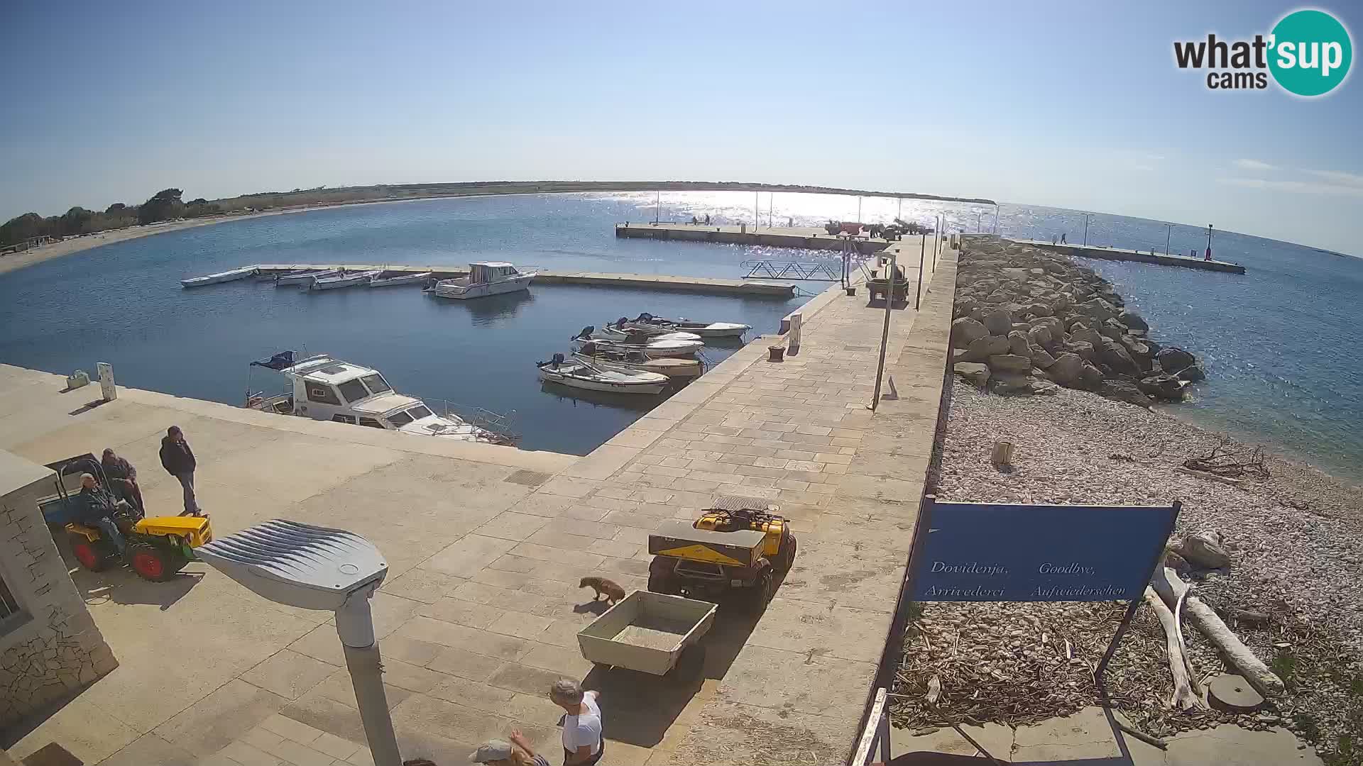 Cámara web de la isla de Unije: explore la belleza de la joya escondida de Croacia