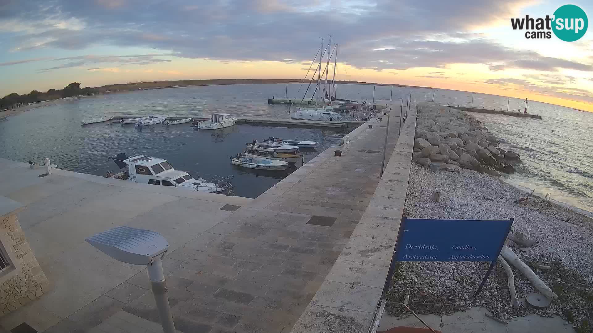 Cámara web de la isla de Unije: explore la belleza de la joya escondida de Croacia