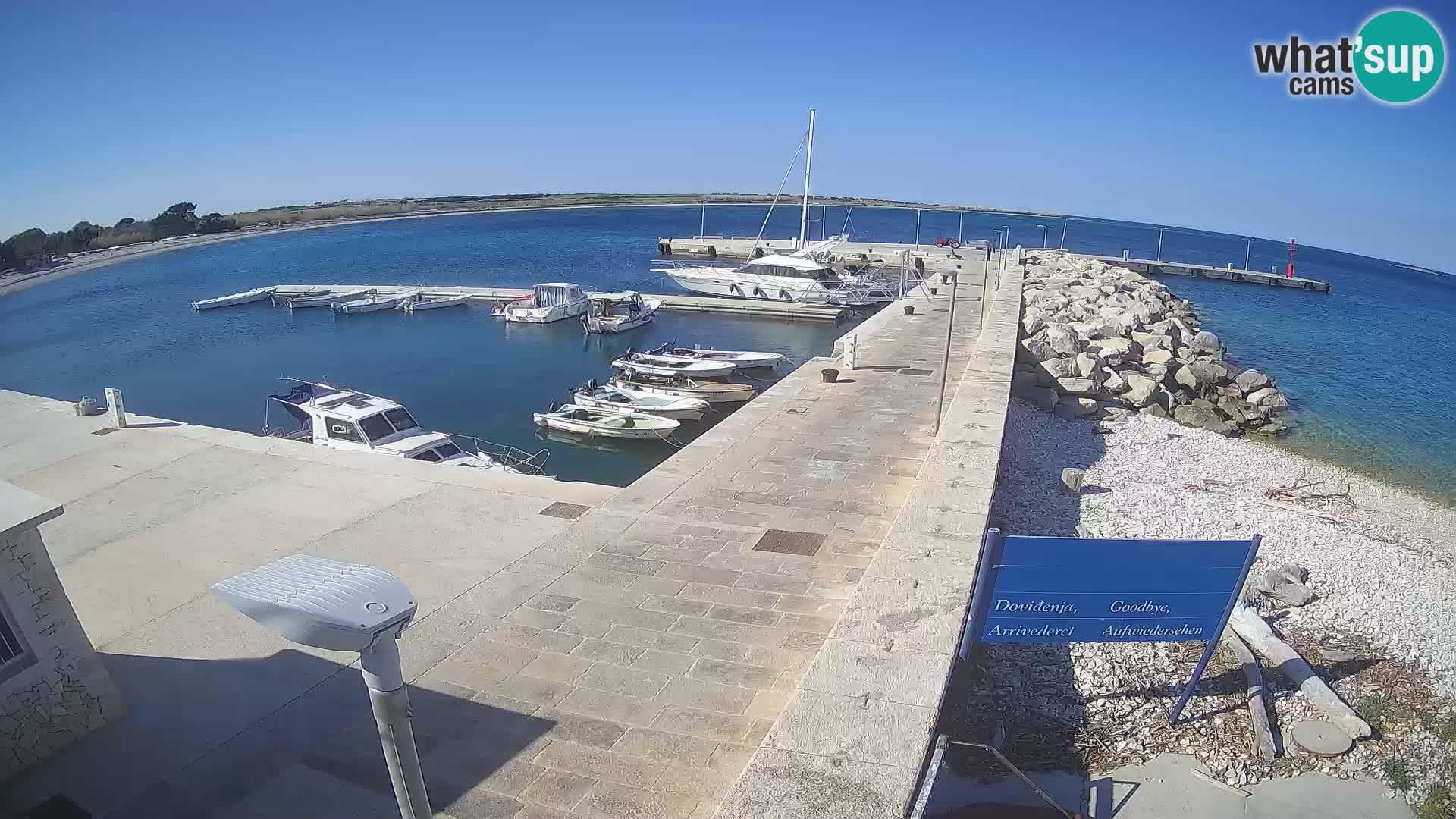 Cámara web de la isla de Unije: explore la belleza de la joya escondida de Croacia