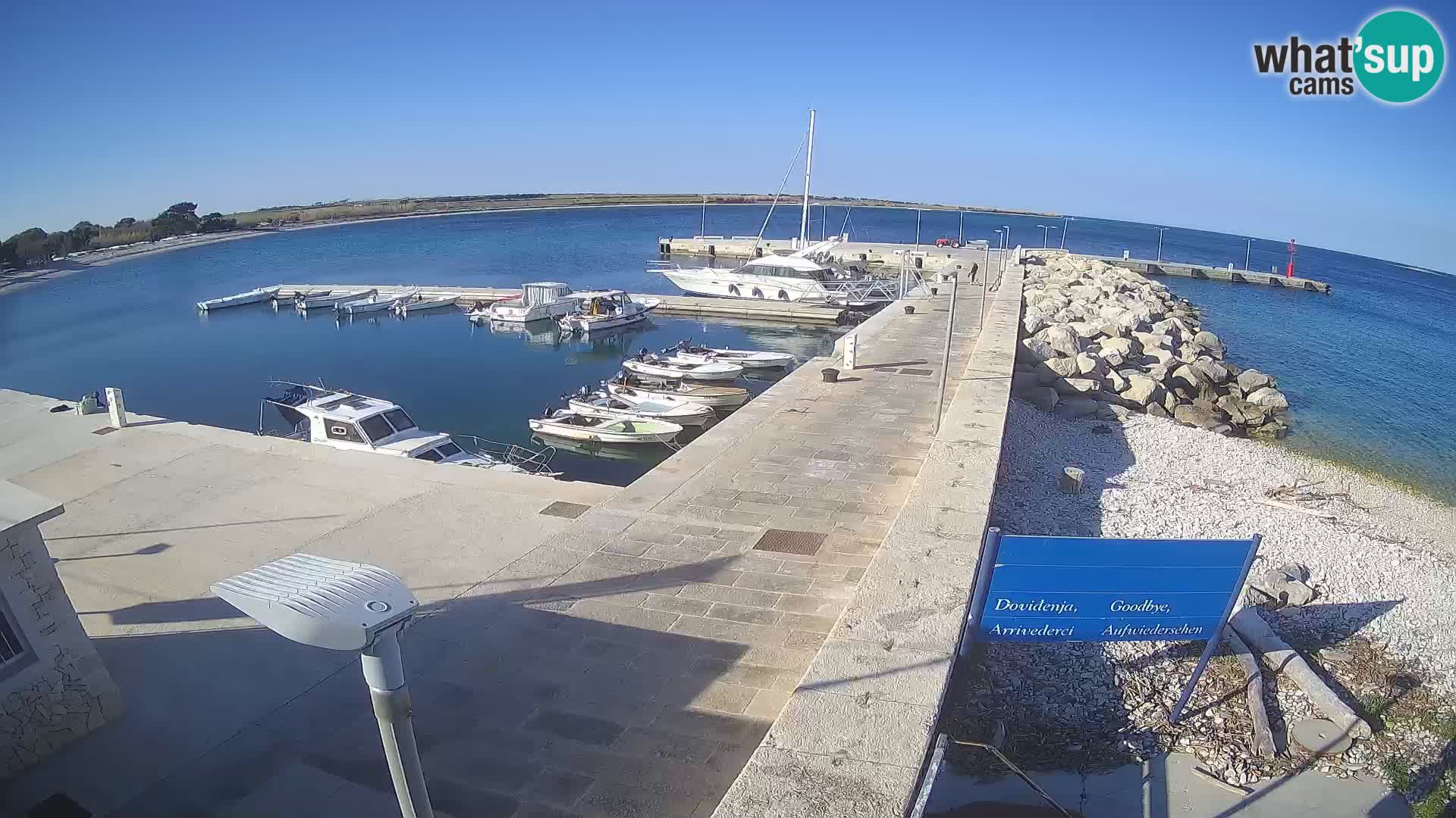 Cámara web de la isla de Unije: explore la belleza de la joya escondida de Croacia