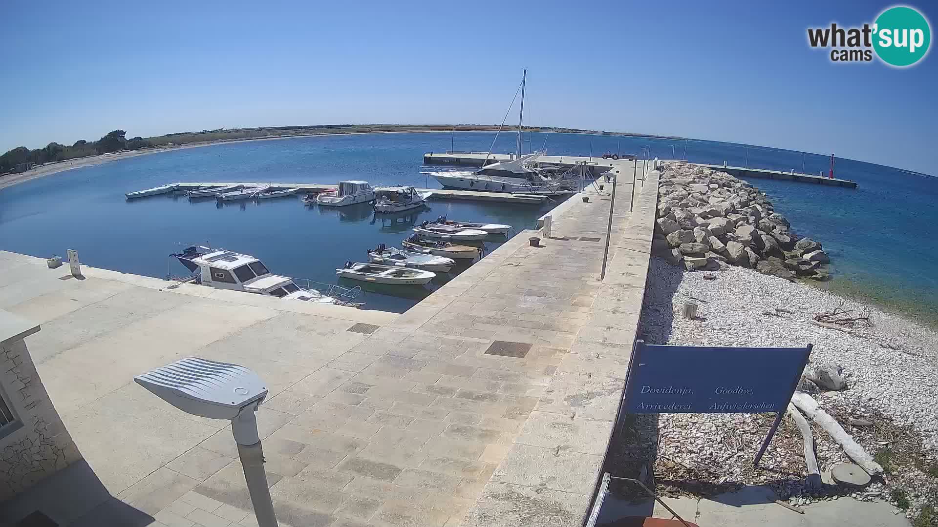 Cámara web de la isla de Unije: explore la belleza de la joya escondida de Croacia