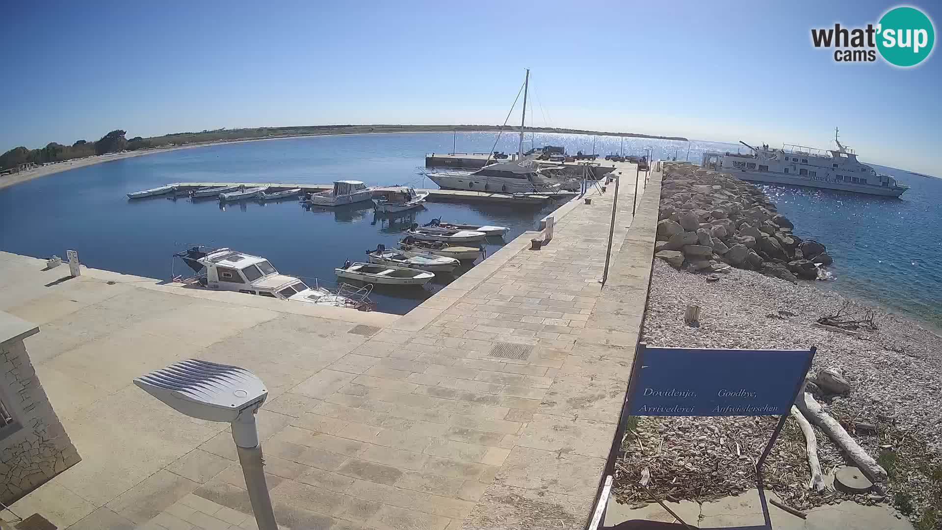 Cámara web de la isla de Unije: explore la belleza de la joya escondida de Croacia