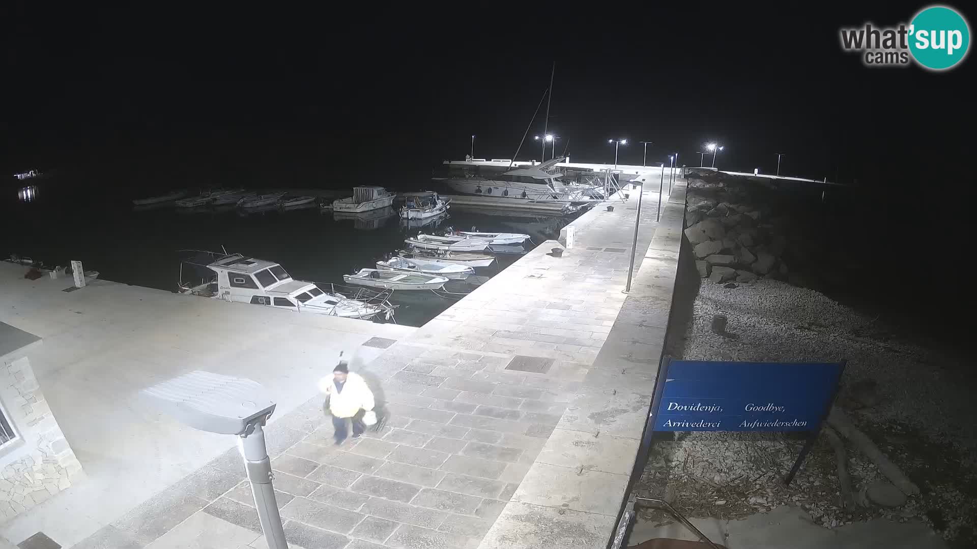 Cámara web de la isla de Unije: explore la belleza de la joya escondida de Croacia