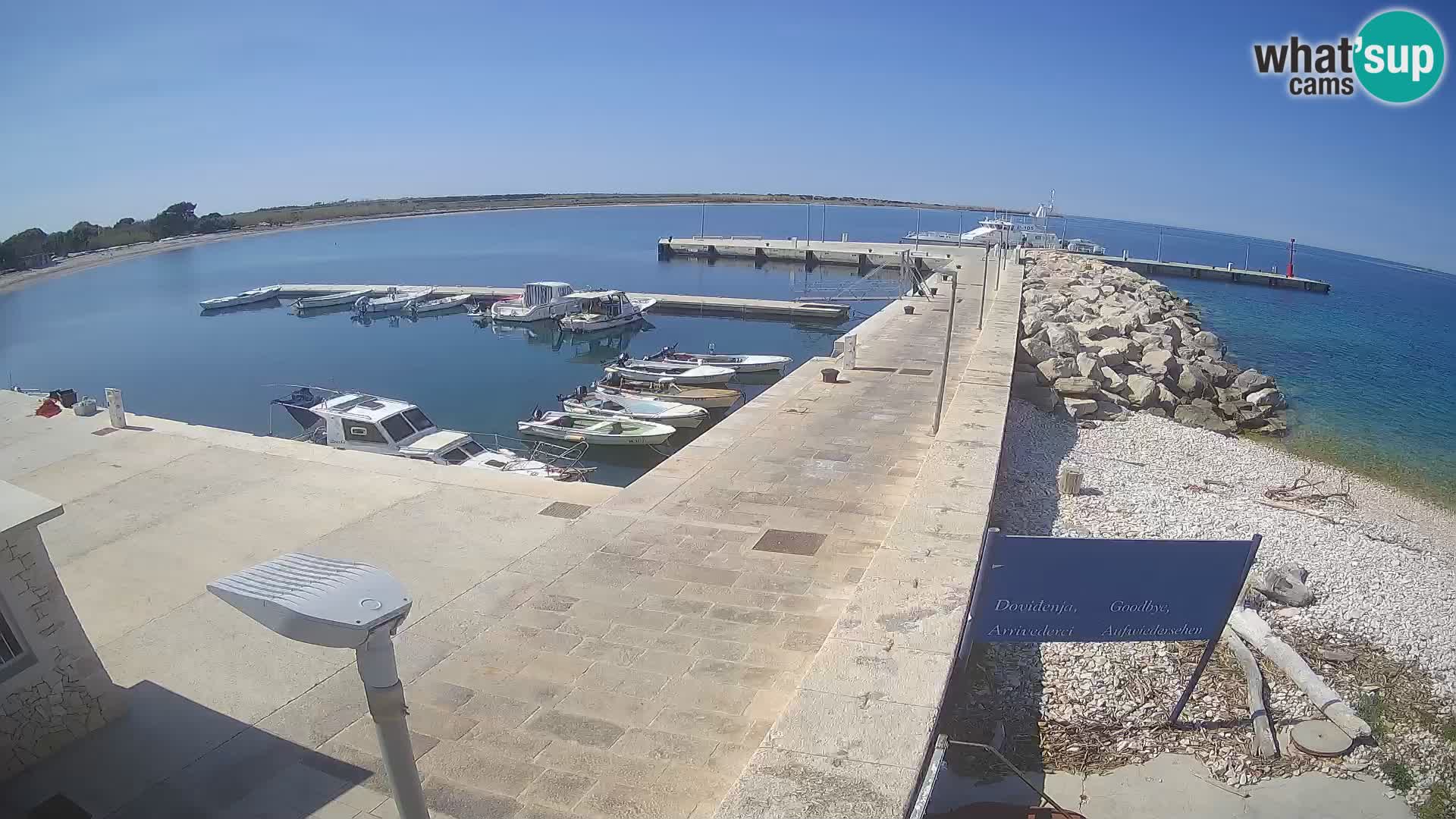 Cámara web de la isla de Unije: explore la belleza de la joya escondida de Croacia