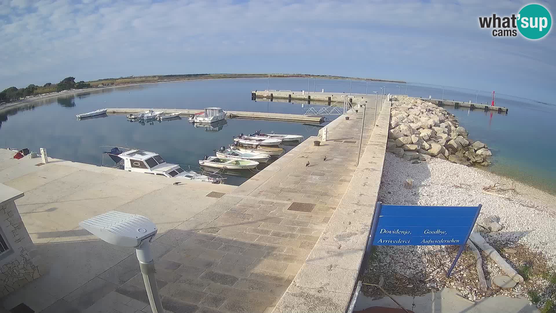 Webcam Isola di Unije – Esplora la bellezza della gemma nascosta della Croazia