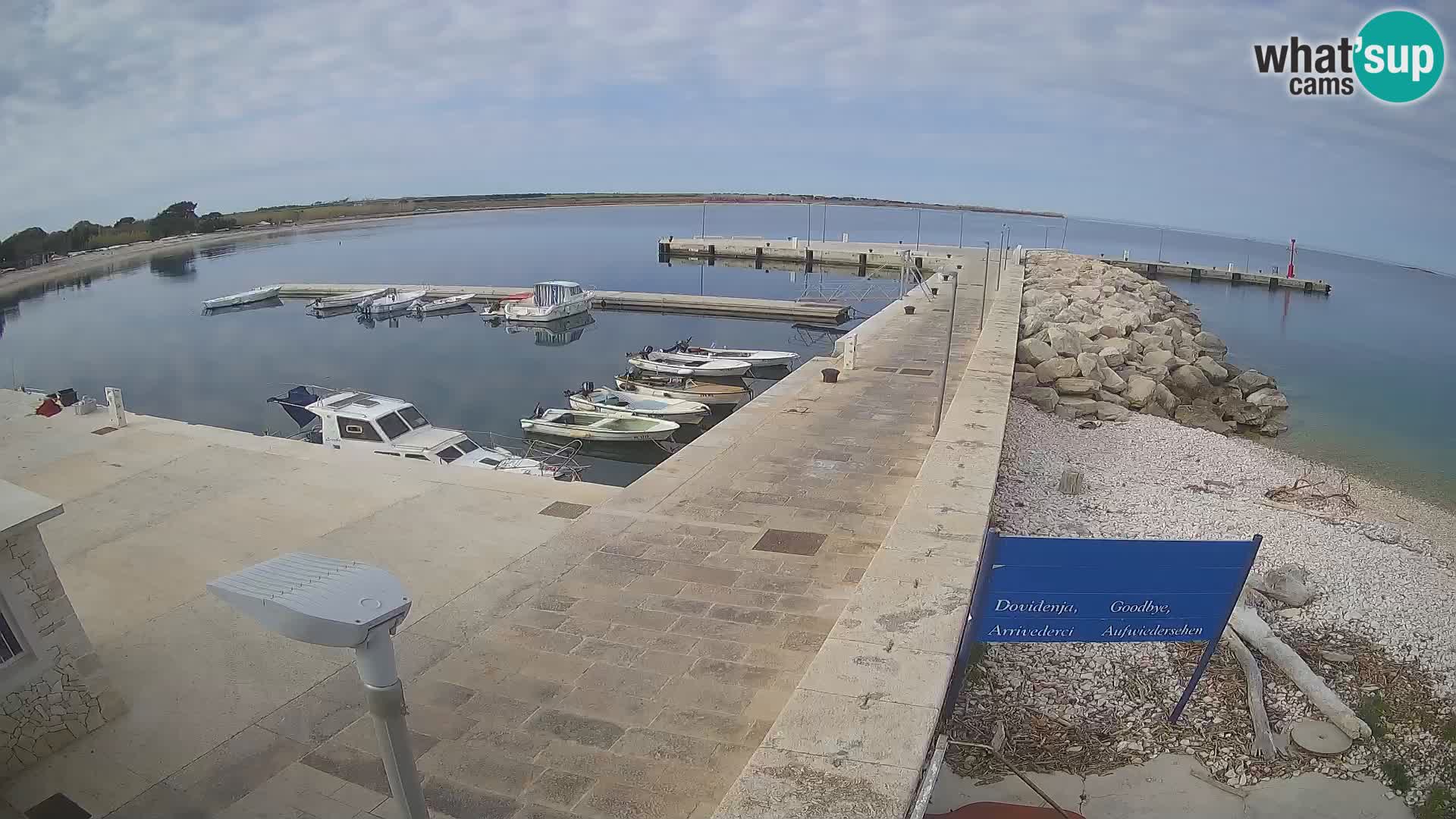 Cámara web de la isla de Unije: explore la belleza de la joya escondida de Croacia