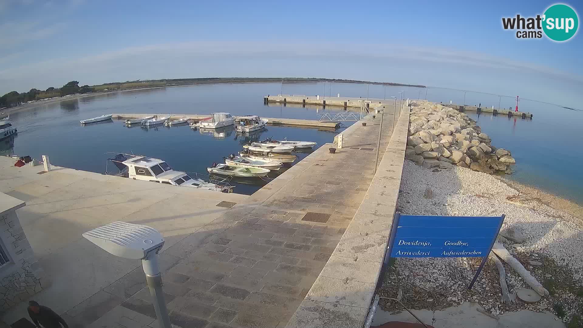 Cámara web de la isla de Unije: explore la belleza de la joya escondida de Croacia