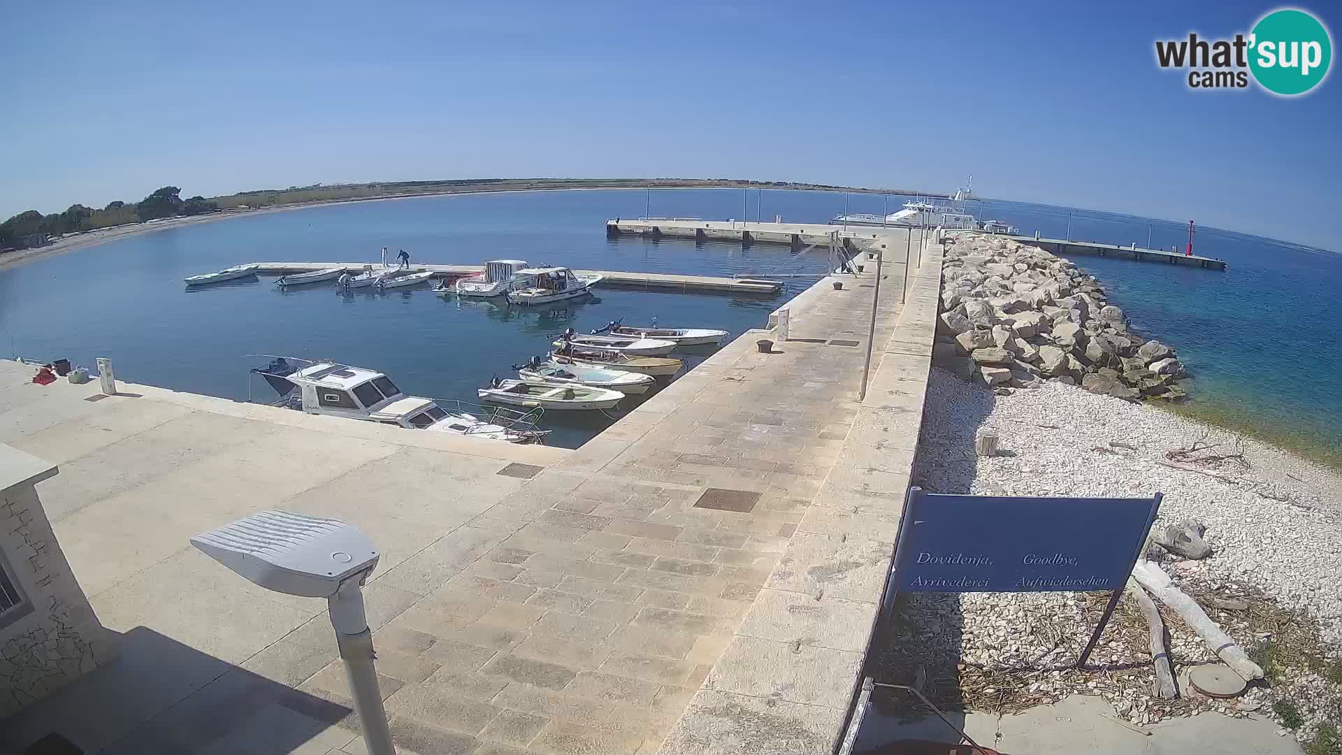 Cámara web de la isla de Unije: explore la belleza de la joya escondida de Croacia