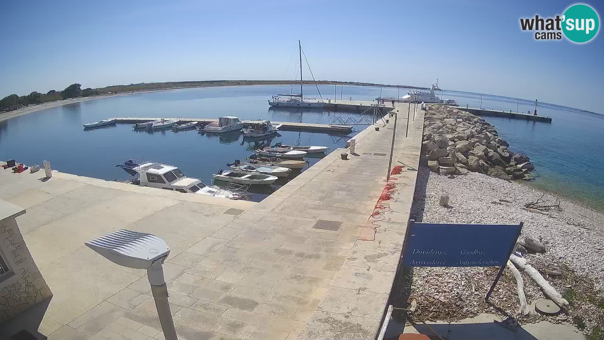 Webcam Isola di Unije – Esplora la bellezza della gemma nascosta della Croazia