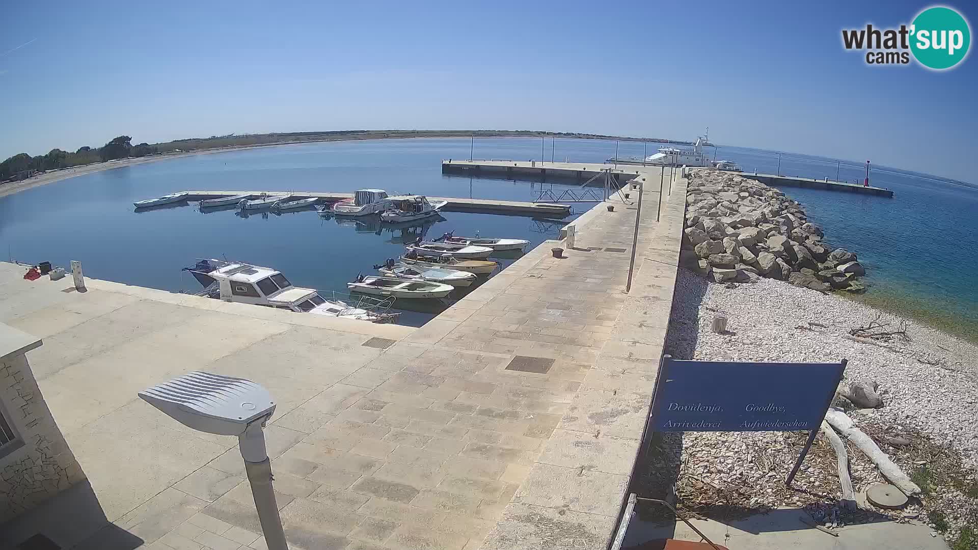 Cámara web de la isla de Unije: explore la belleza de la joya escondida de Croacia