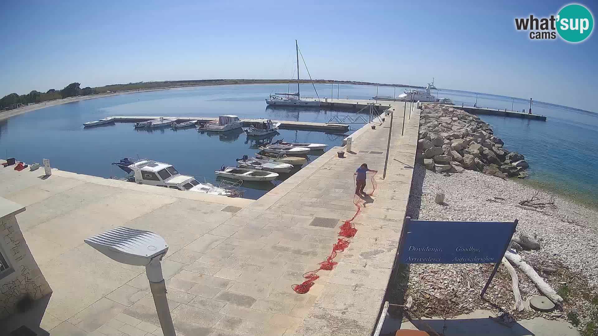 Webcam Isola di Unije – Esplora la bellezza della gemma nascosta della Croazia