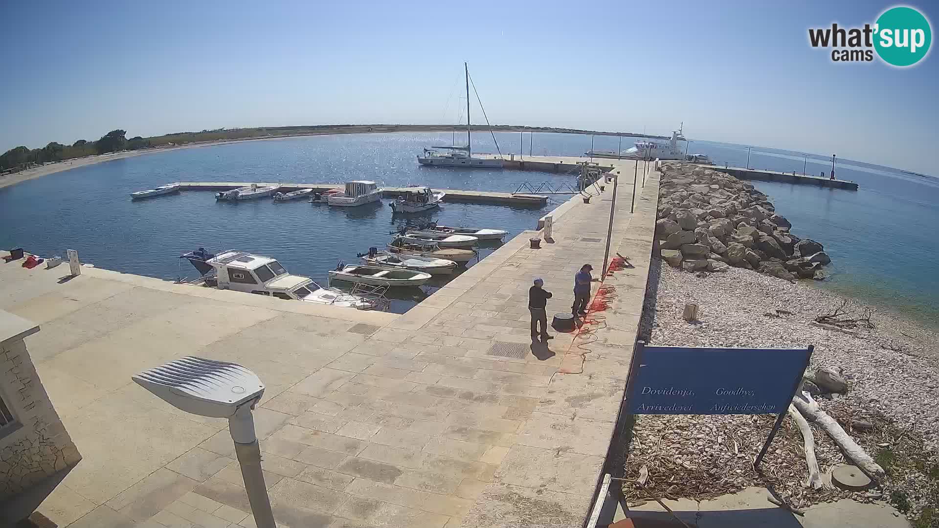 Cámara web de la isla de Unije: explore la belleza de la joya escondida de Croacia