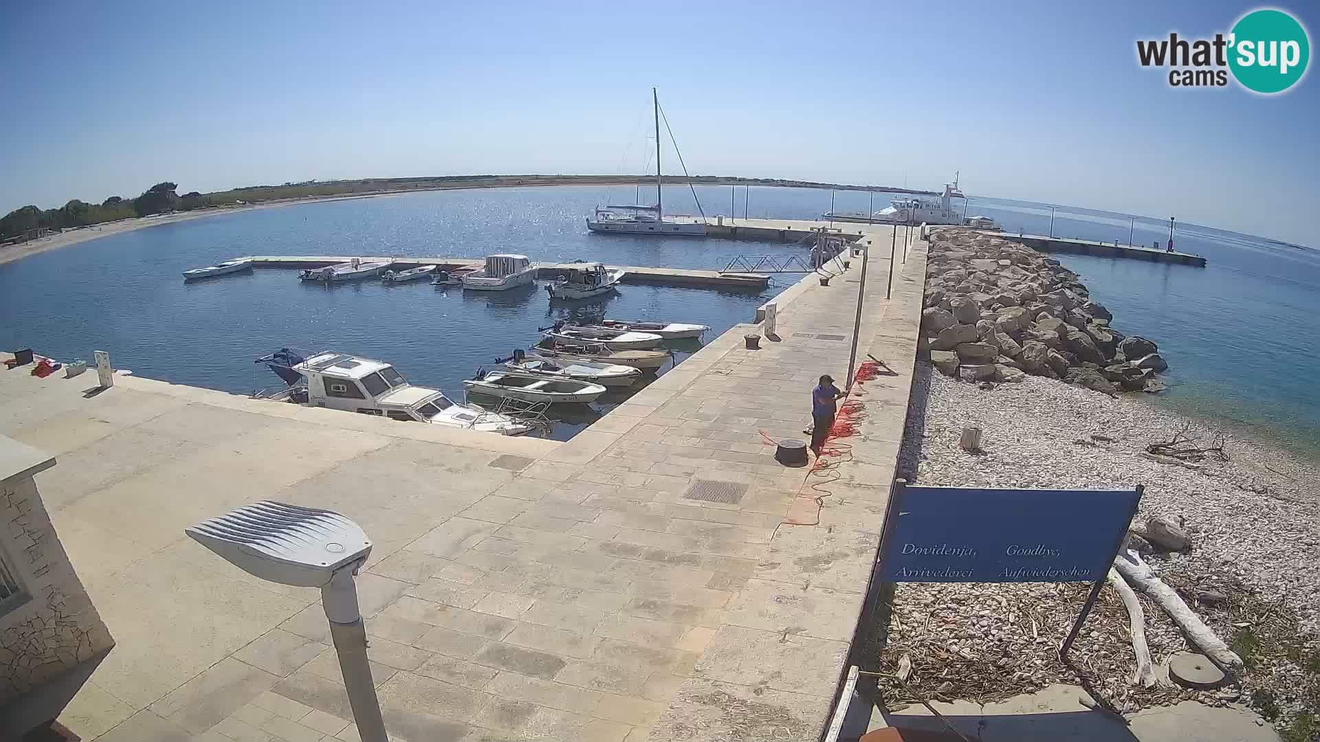 Webcam Isola di Unije – Esplora la bellezza della gemma nascosta della Croazia