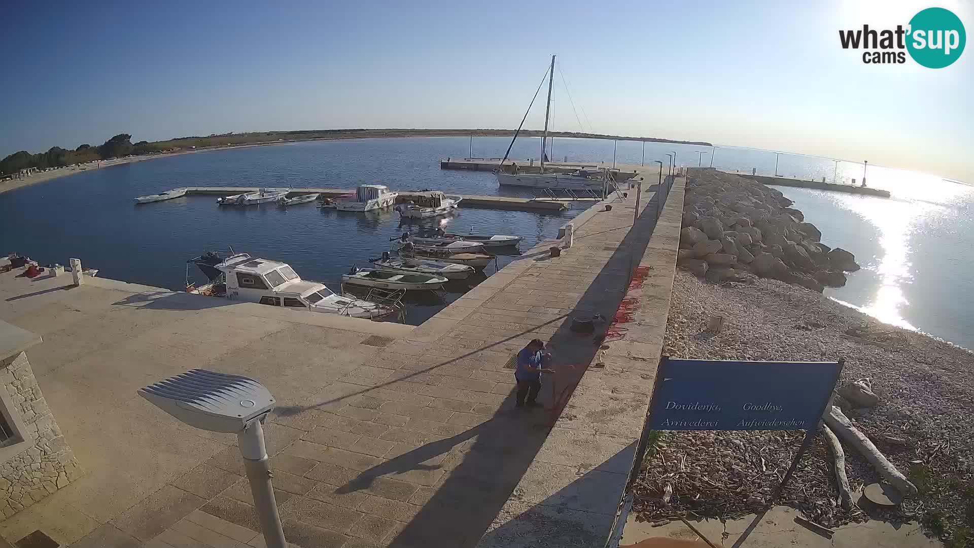 Cámara web de la isla de Unije: explore la belleza de la joya escondida de Croacia