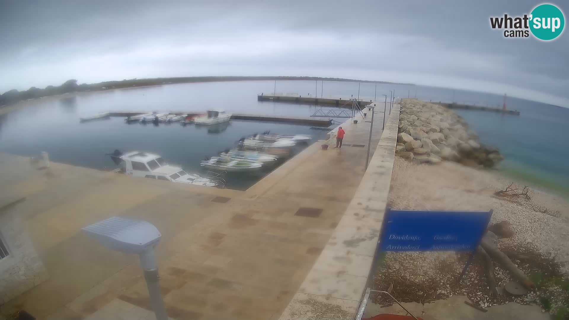 Cámara web de la isla de Unije: explore la belleza de la joya escondida de Croacia