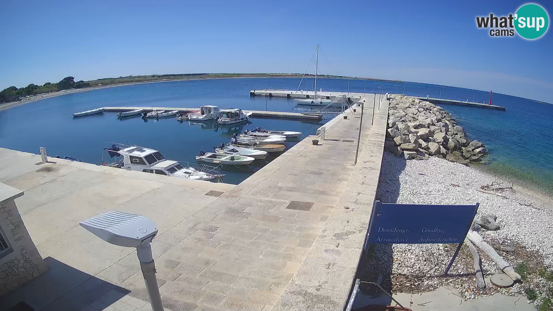 Cámara web de la isla de Unije: explore la belleza de la joya escondida de Croacia