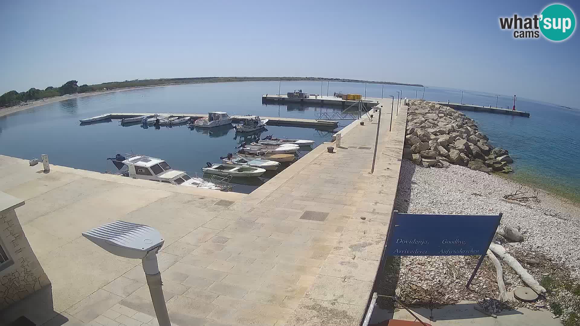 Cámara web de la isla de Unije: explore la belleza de la joya escondida de Croacia