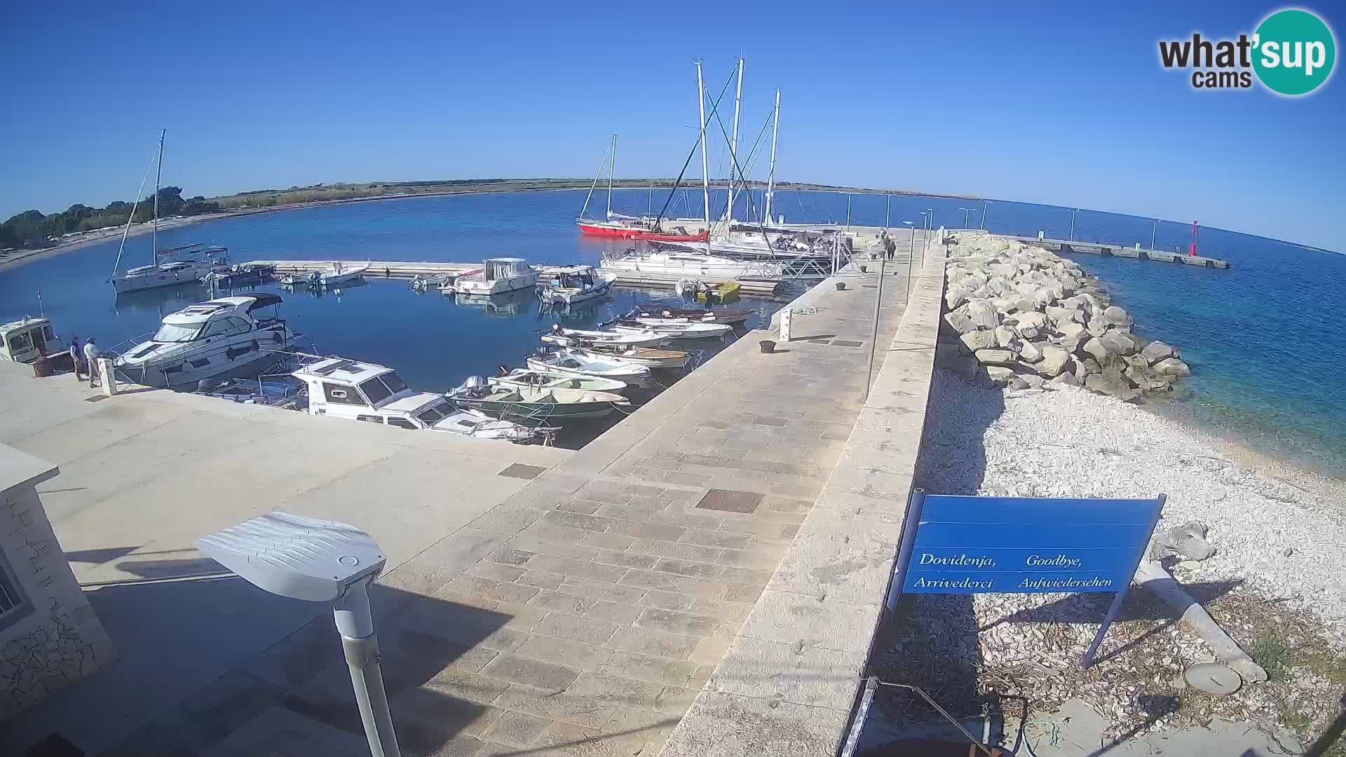 Webcam Isola di Unije – Esplora la bellezza della gemma nascosta della Croazia