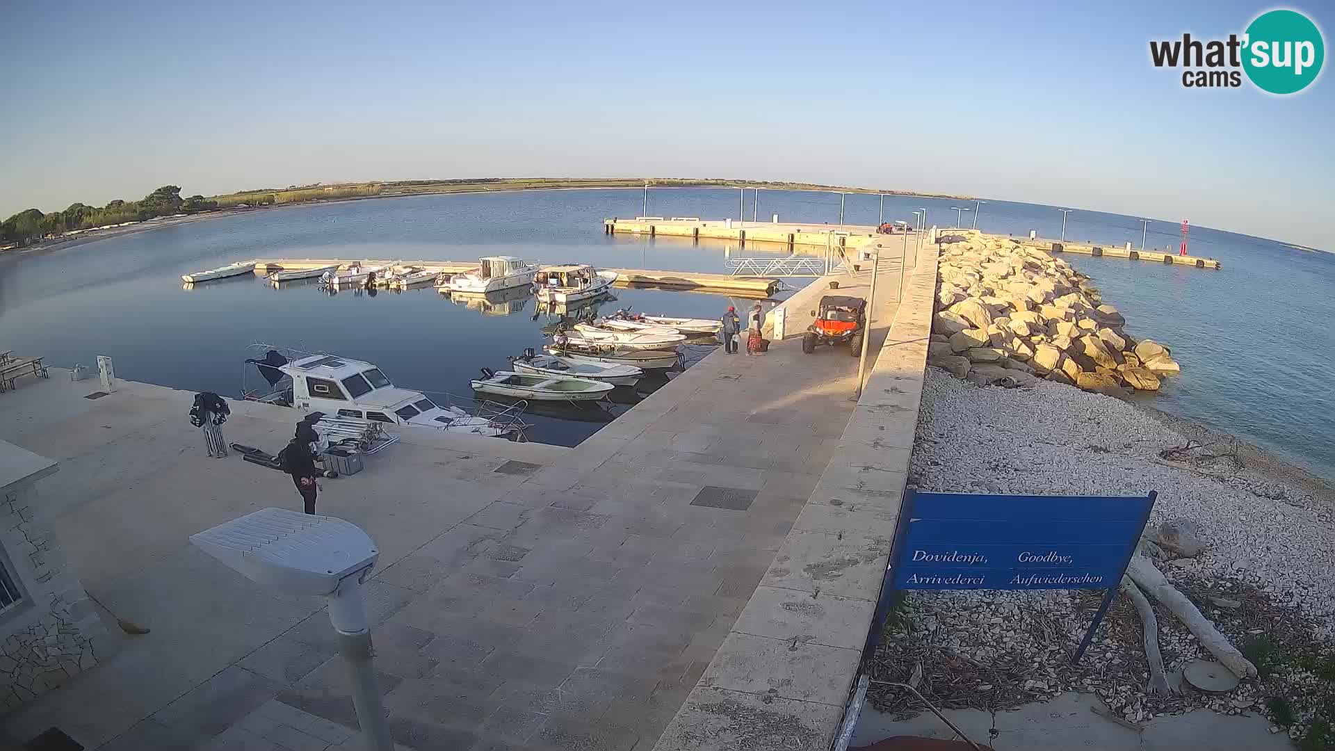 Cámara web de la isla de Unije: explore la belleza de la joya escondida de Croacia