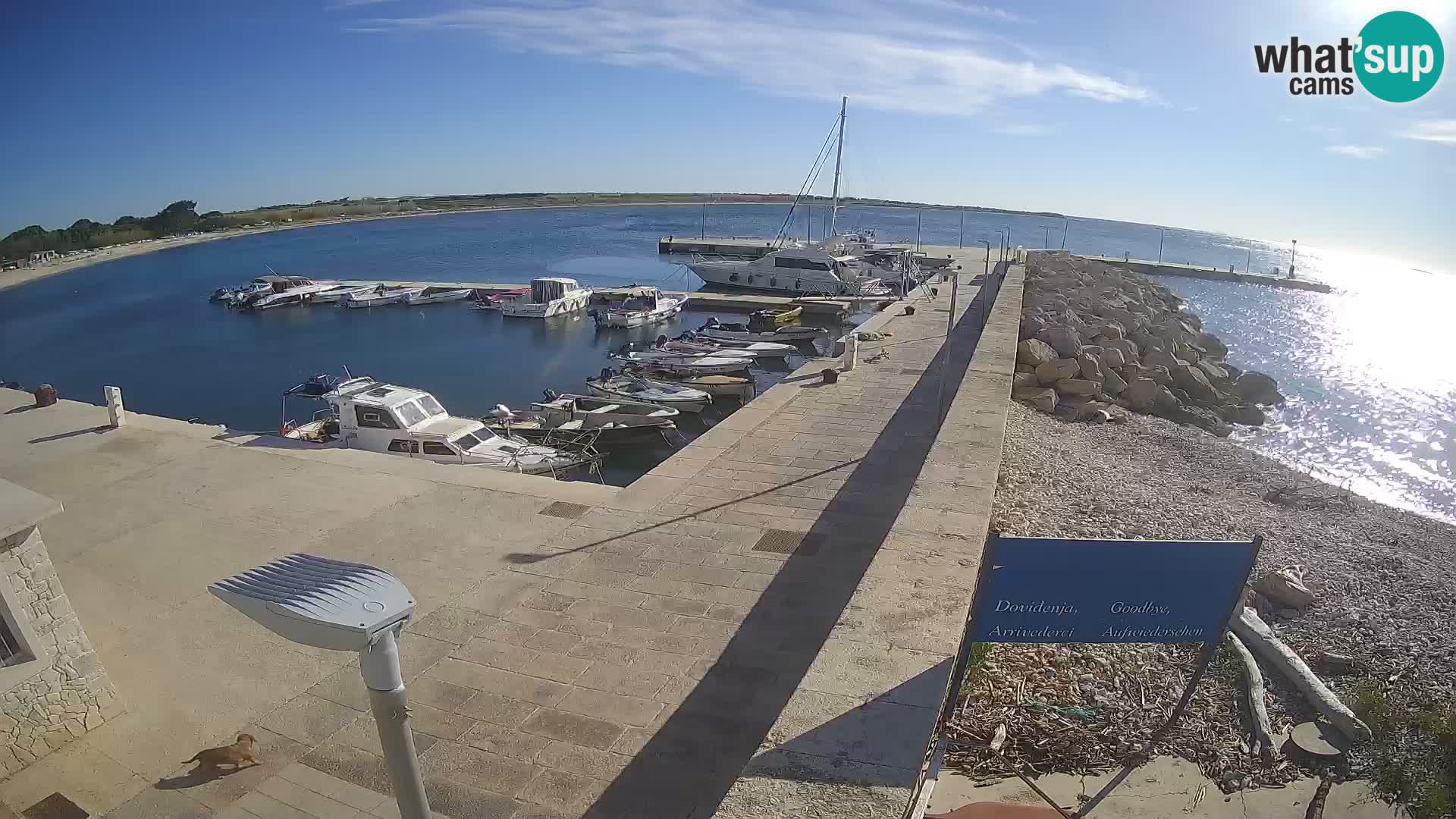 Cámara web de la isla de Unije: explore la belleza de la joya escondida de Croacia