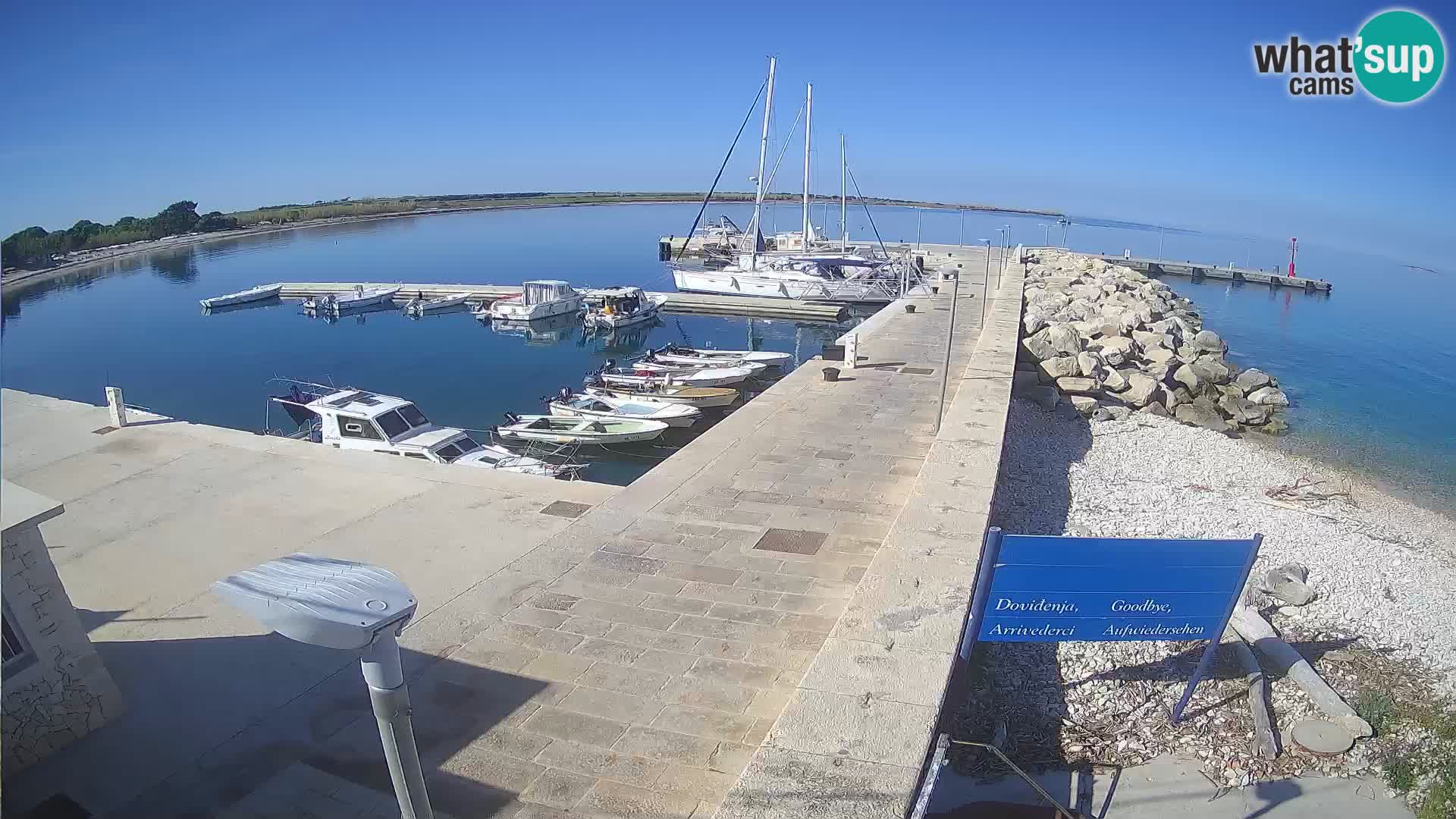 Webcam Isola di Unije – Esplora la bellezza della gemma nascosta della Croazia