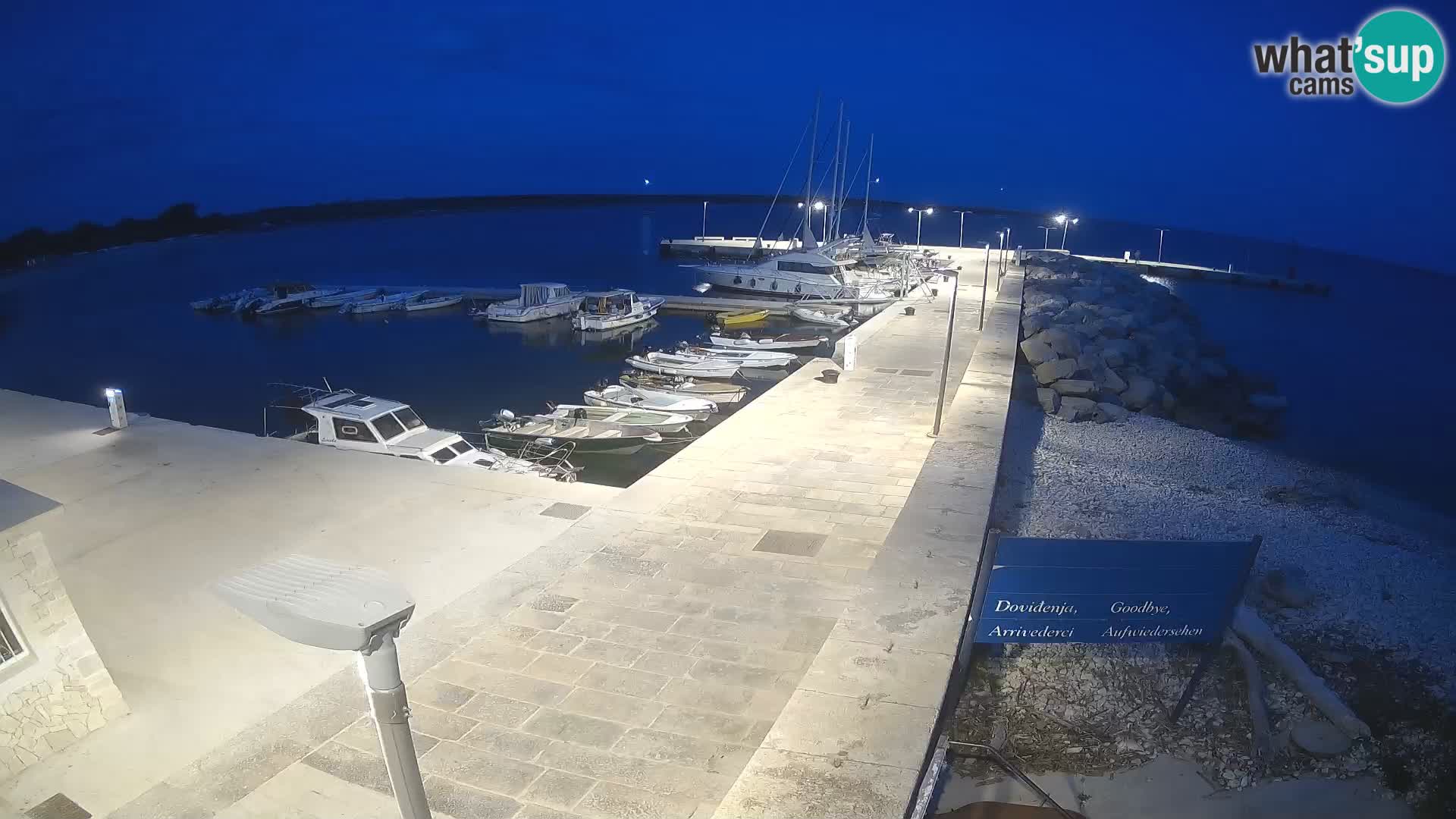 Cámara web de la isla de Unije: explore la belleza de la joya escondida de Croacia