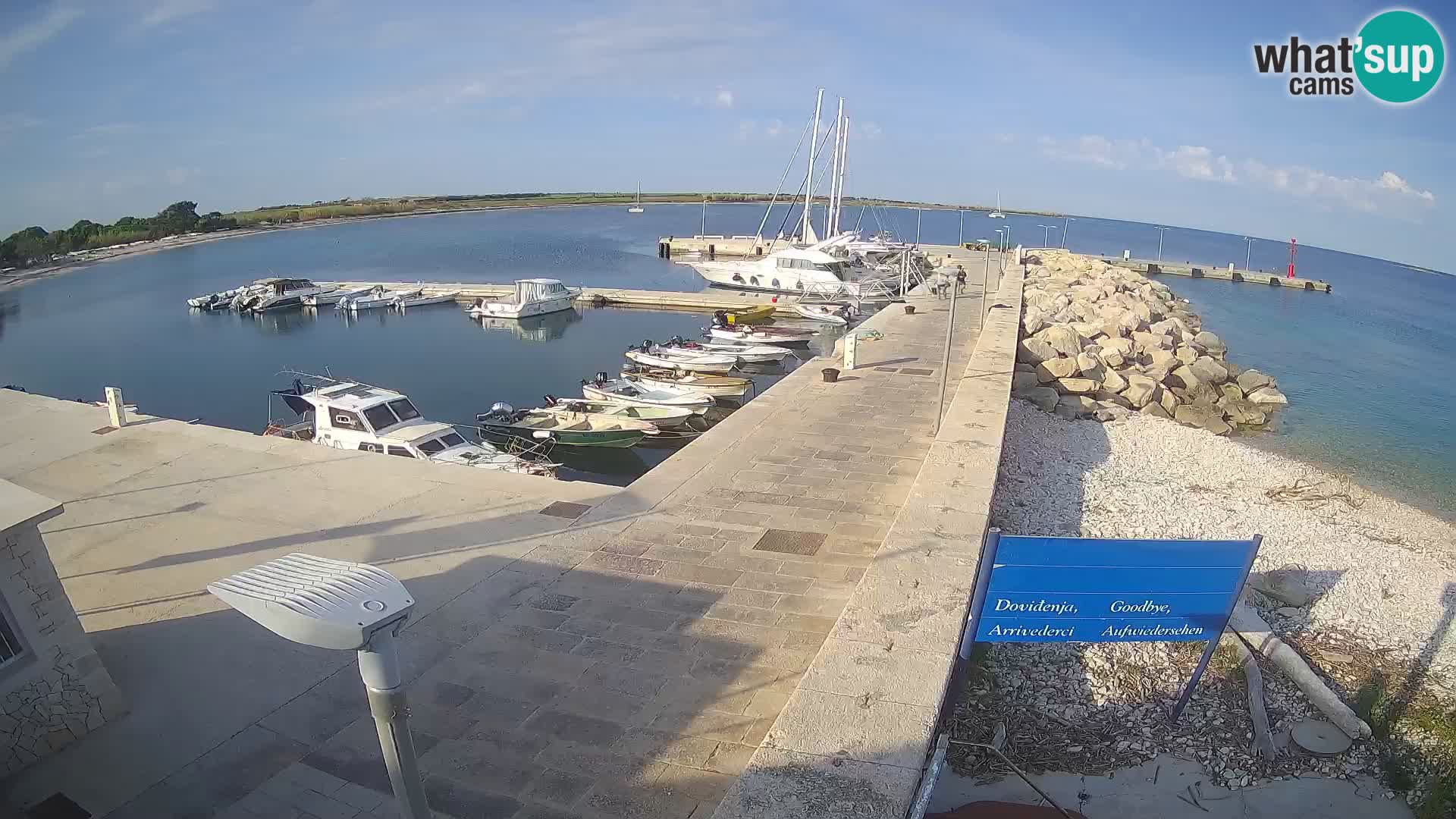 Cámara web de la isla de Unije: explore la belleza de la joya escondida de Croacia