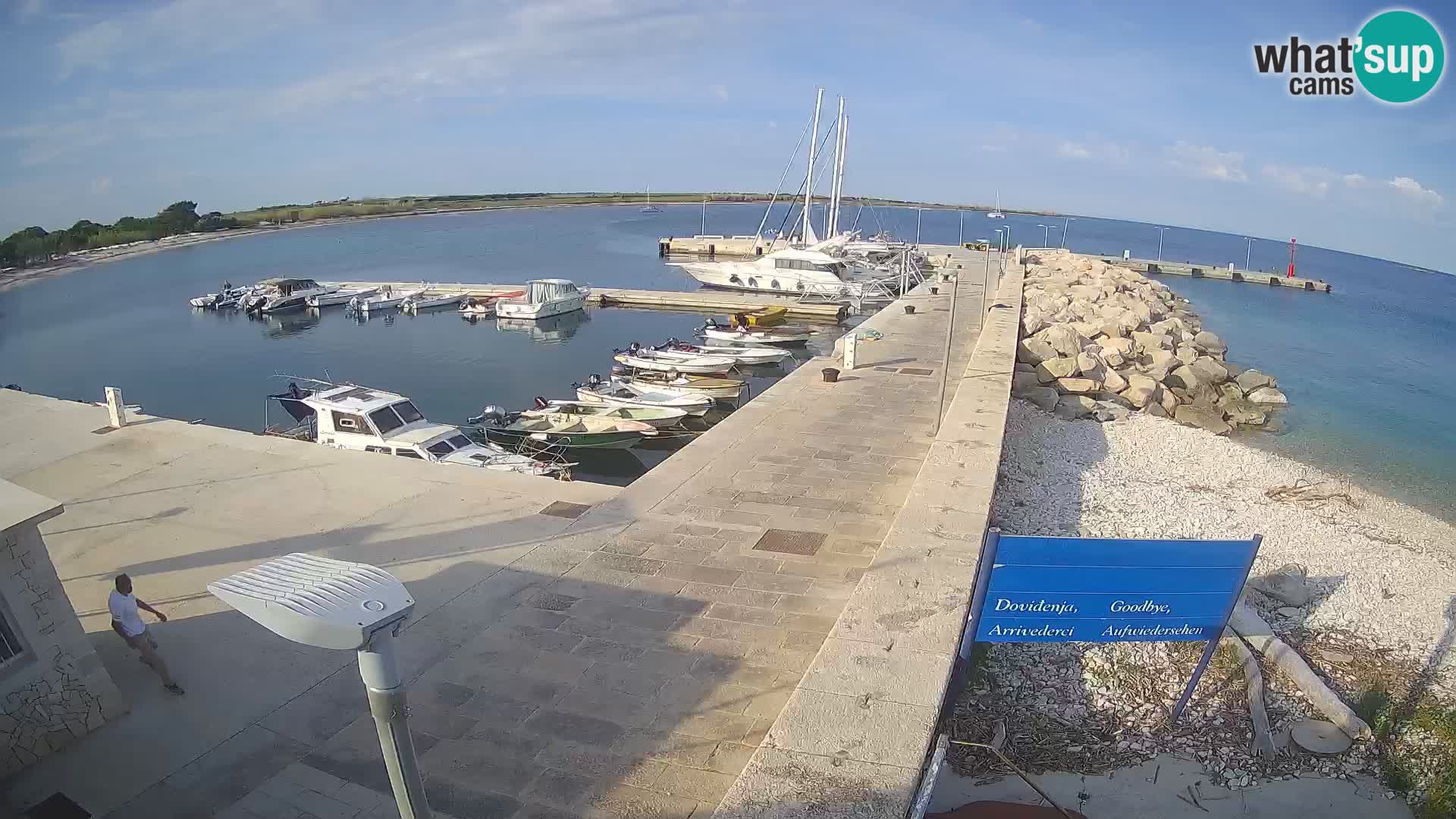 Cámara web de la isla de Unije: explore la belleza de la joya escondida de Croacia