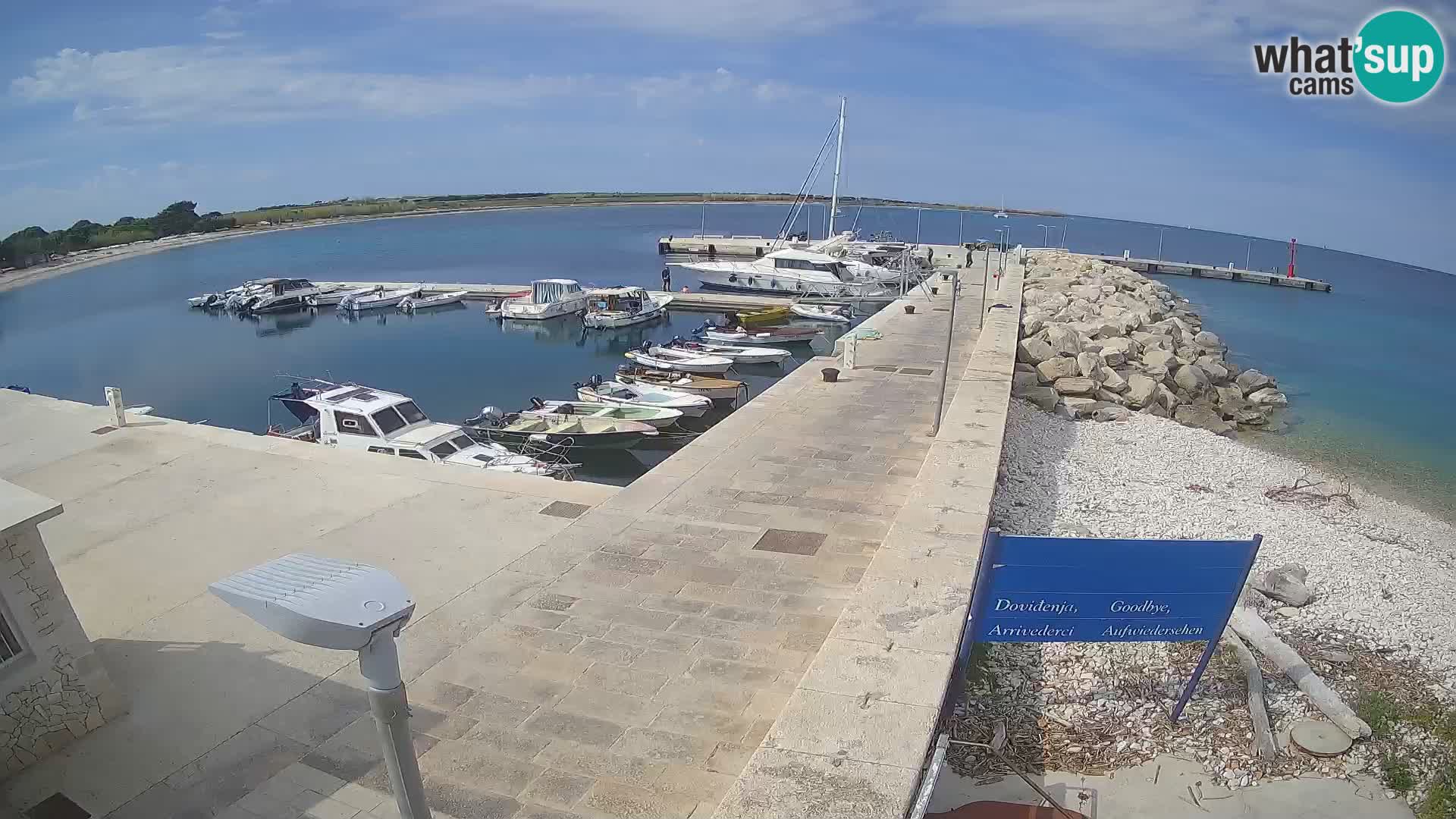 Webcam de l’île d’Unije – Explorez la beauté du joyau caché de la Croatie