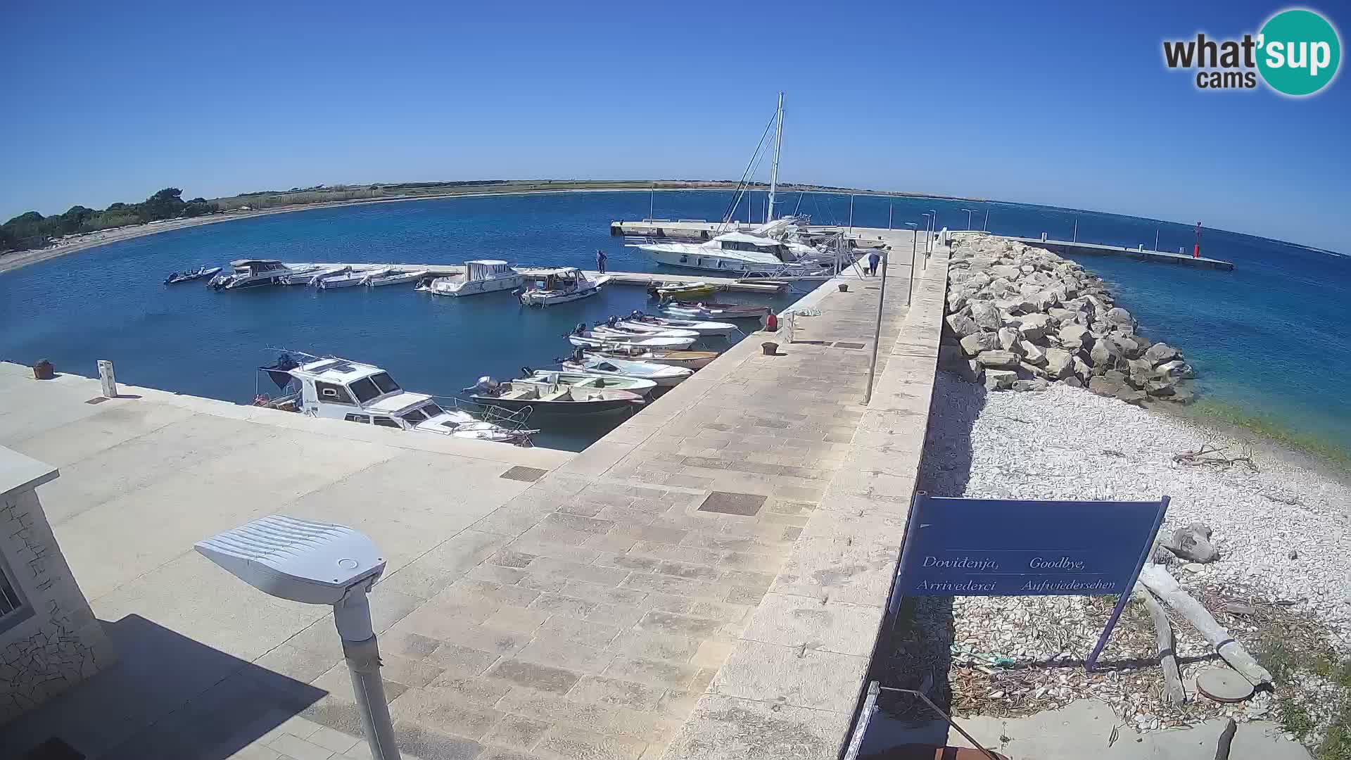 Cámara web de la isla de Unije: explore la belleza de la joya escondida de Croacia