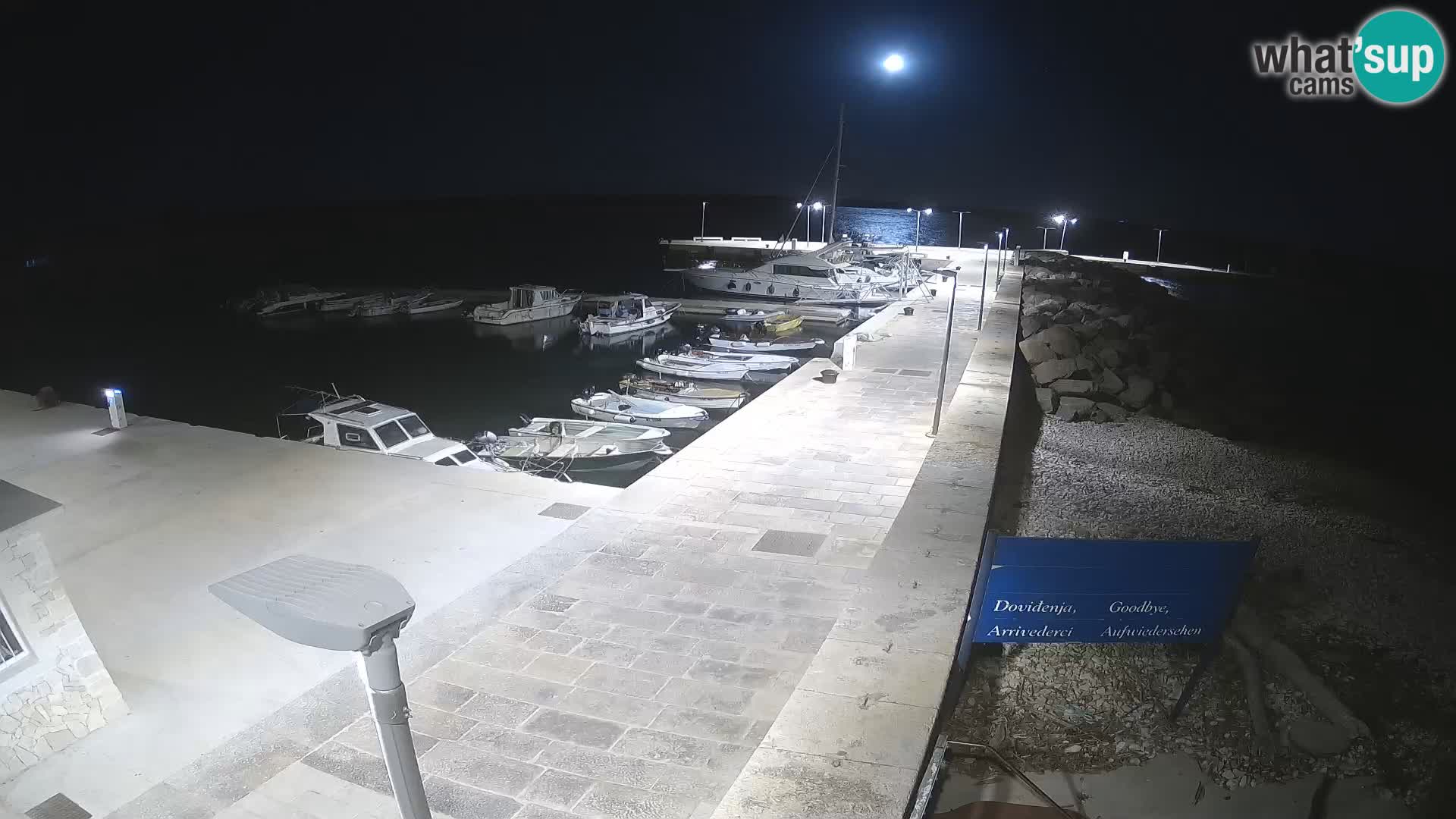 Cámara web de la isla de Unije: explore la belleza de la joya escondida de Croacia