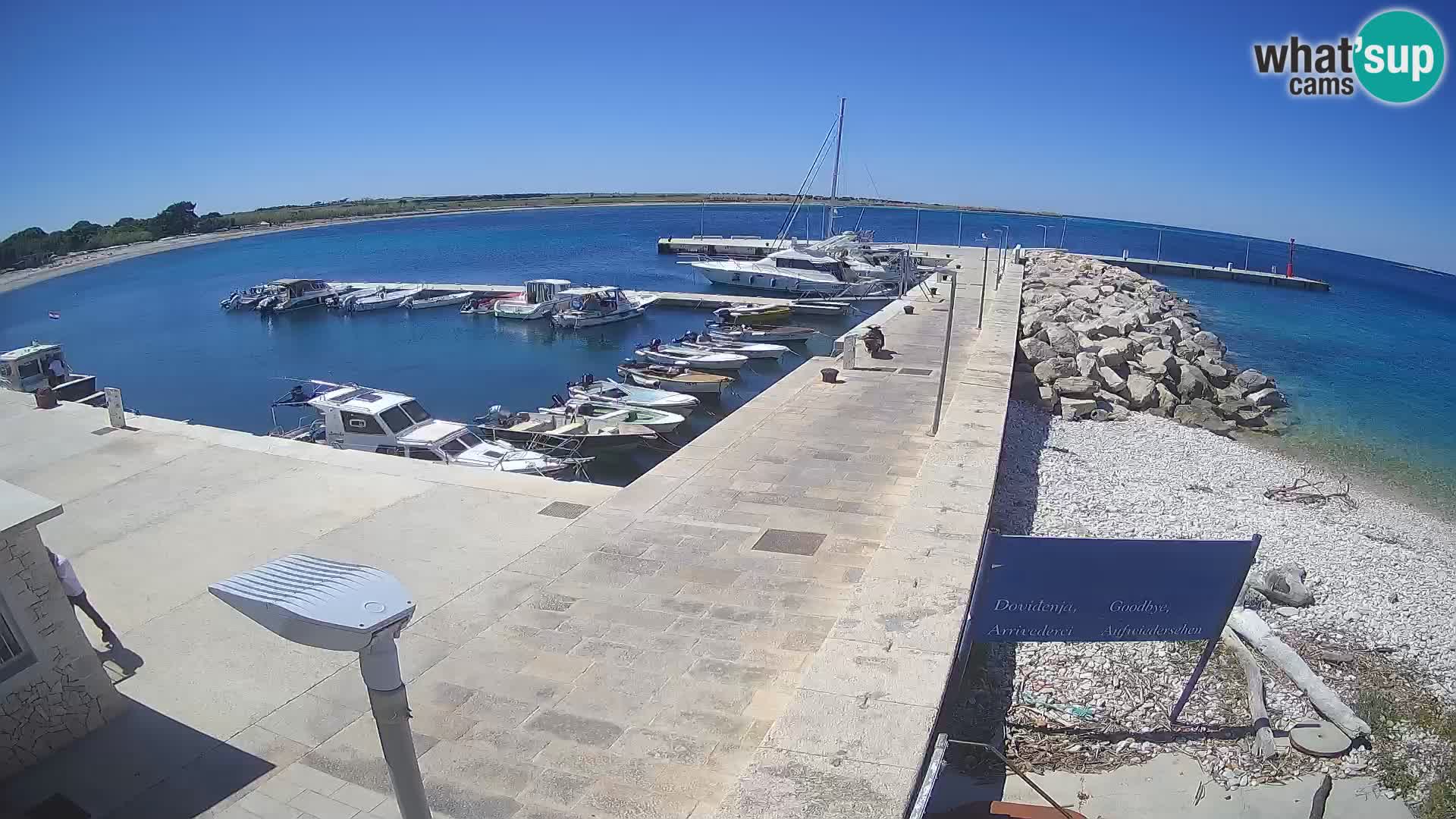 Cámara web de la isla de Unije: explore la belleza de la joya escondida de Croacia