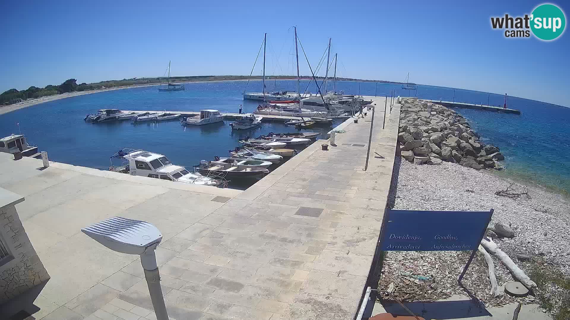 Cámara web de la isla de Unije: explore la belleza de la joya escondida de Croacia