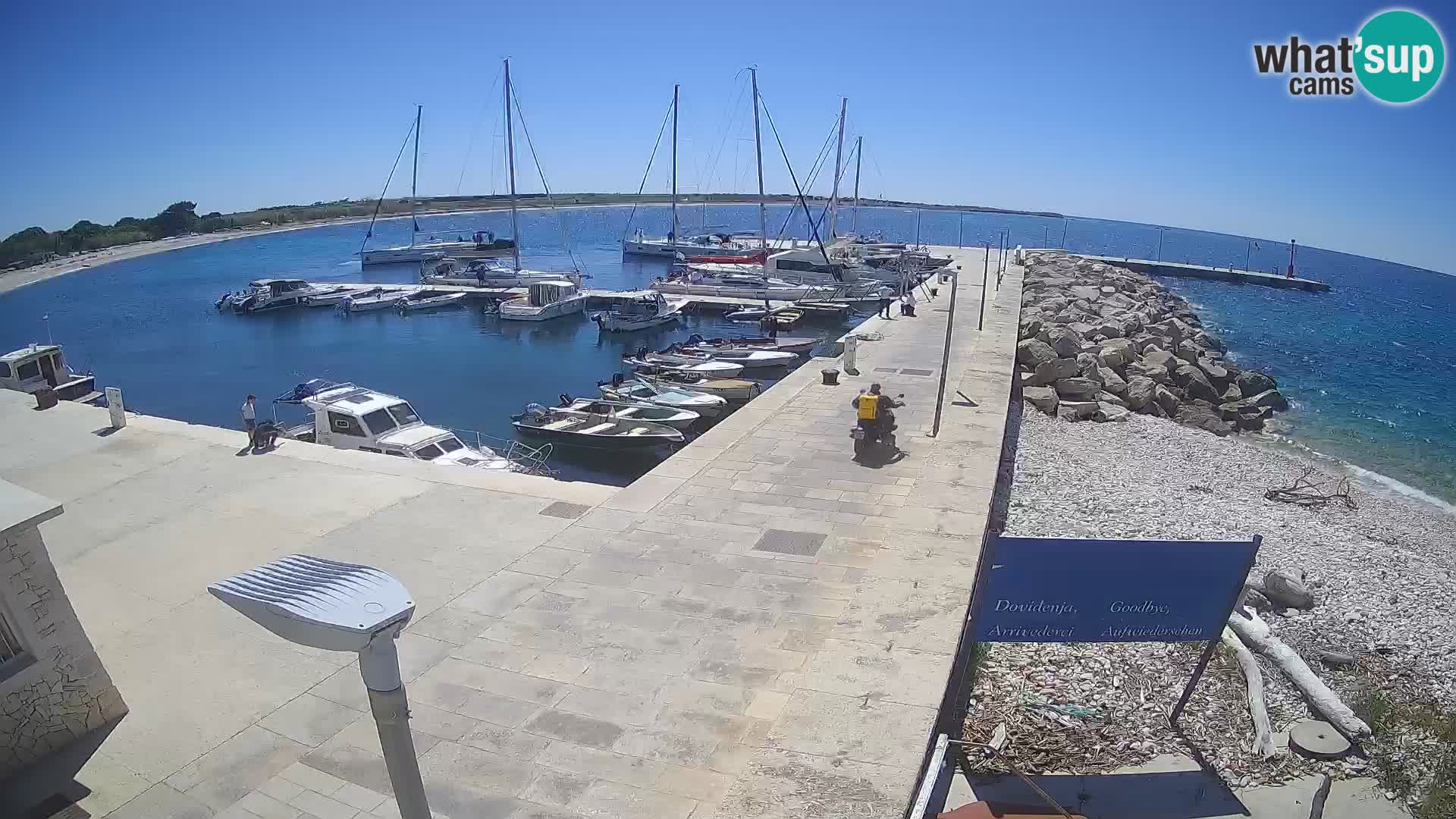 Cámara web de la isla de Unije: explore la belleza de la joya escondida de Croacia