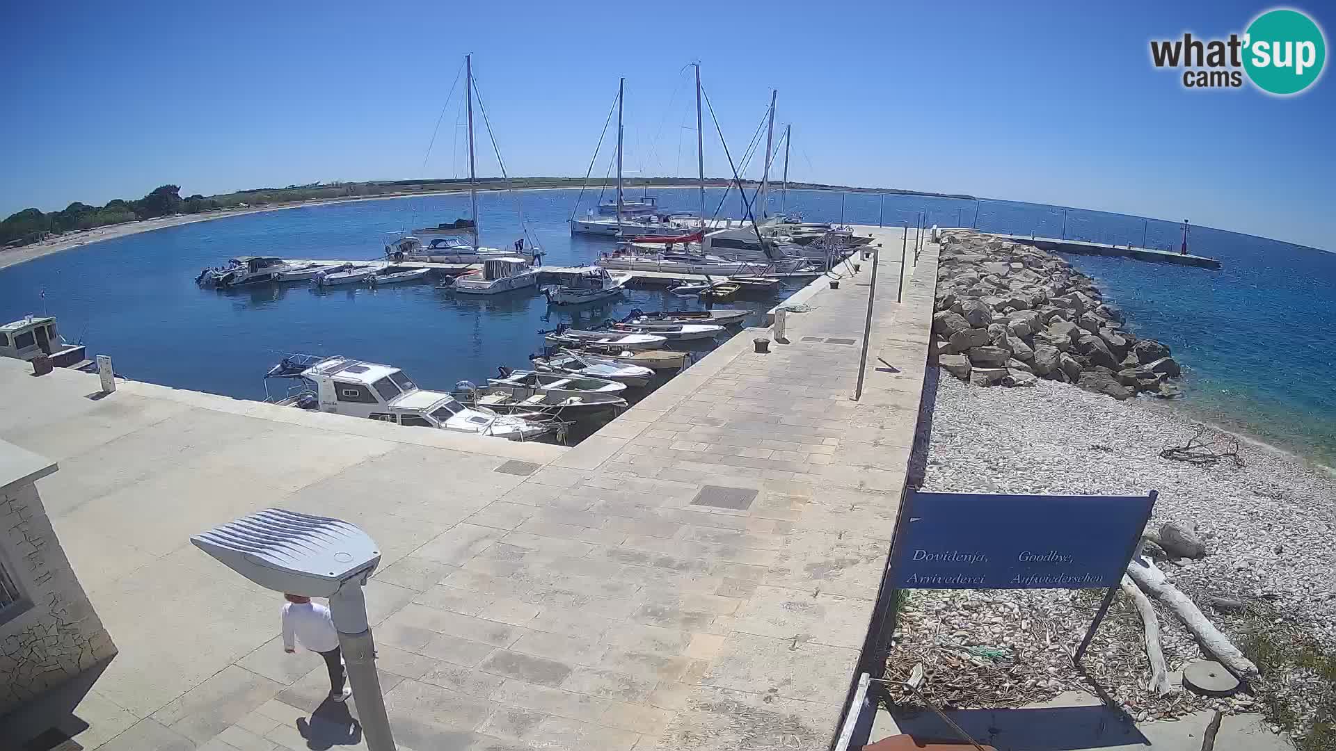 Webcam de l’île d’Unije – Explorez la beauté du joyau caché de la Croatie