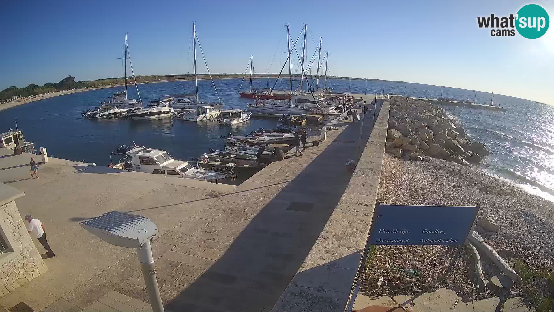 Cámara web de la isla de Unije: explore la belleza de la joya escondida de Croacia
